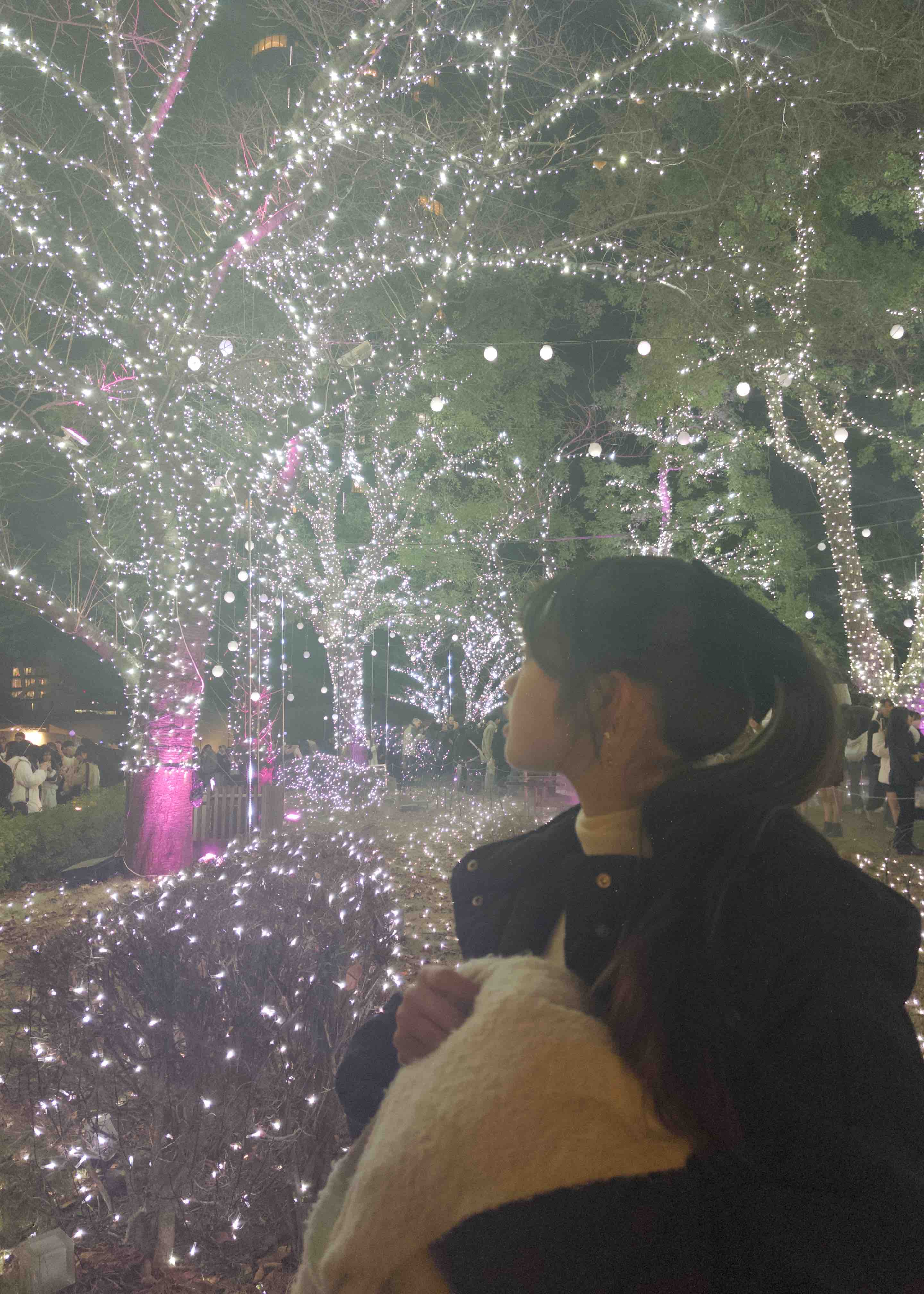 🐈‍⬛♥️ フォロバ100🐾