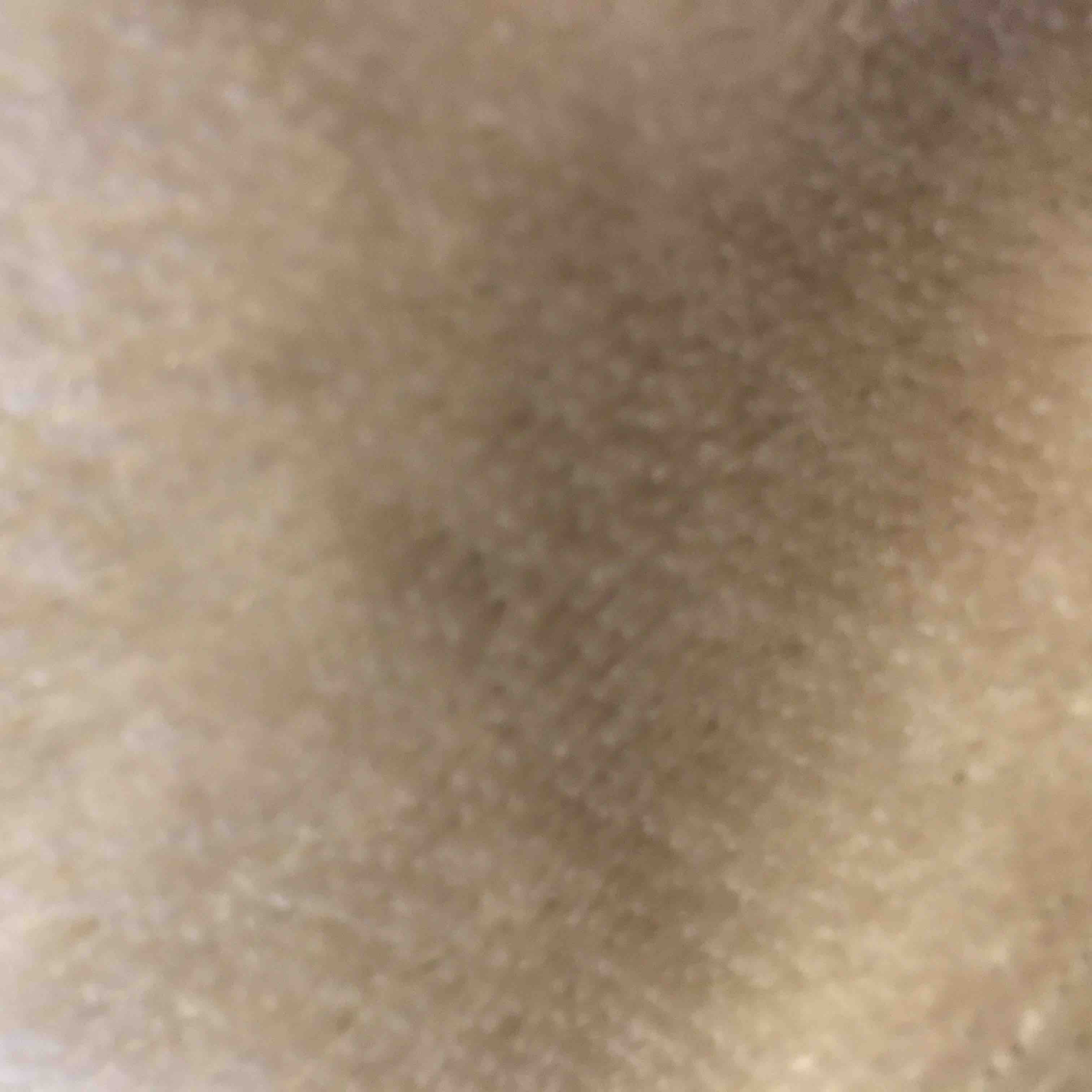 ただのサル🐒🐒🐒