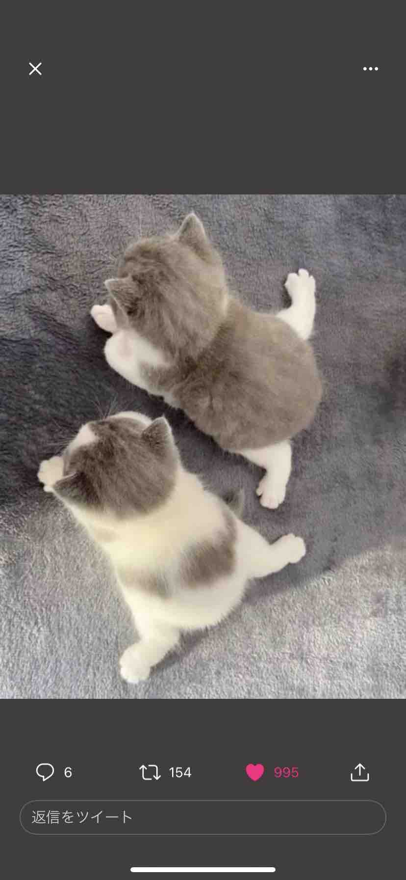 colorful_perfume_x29