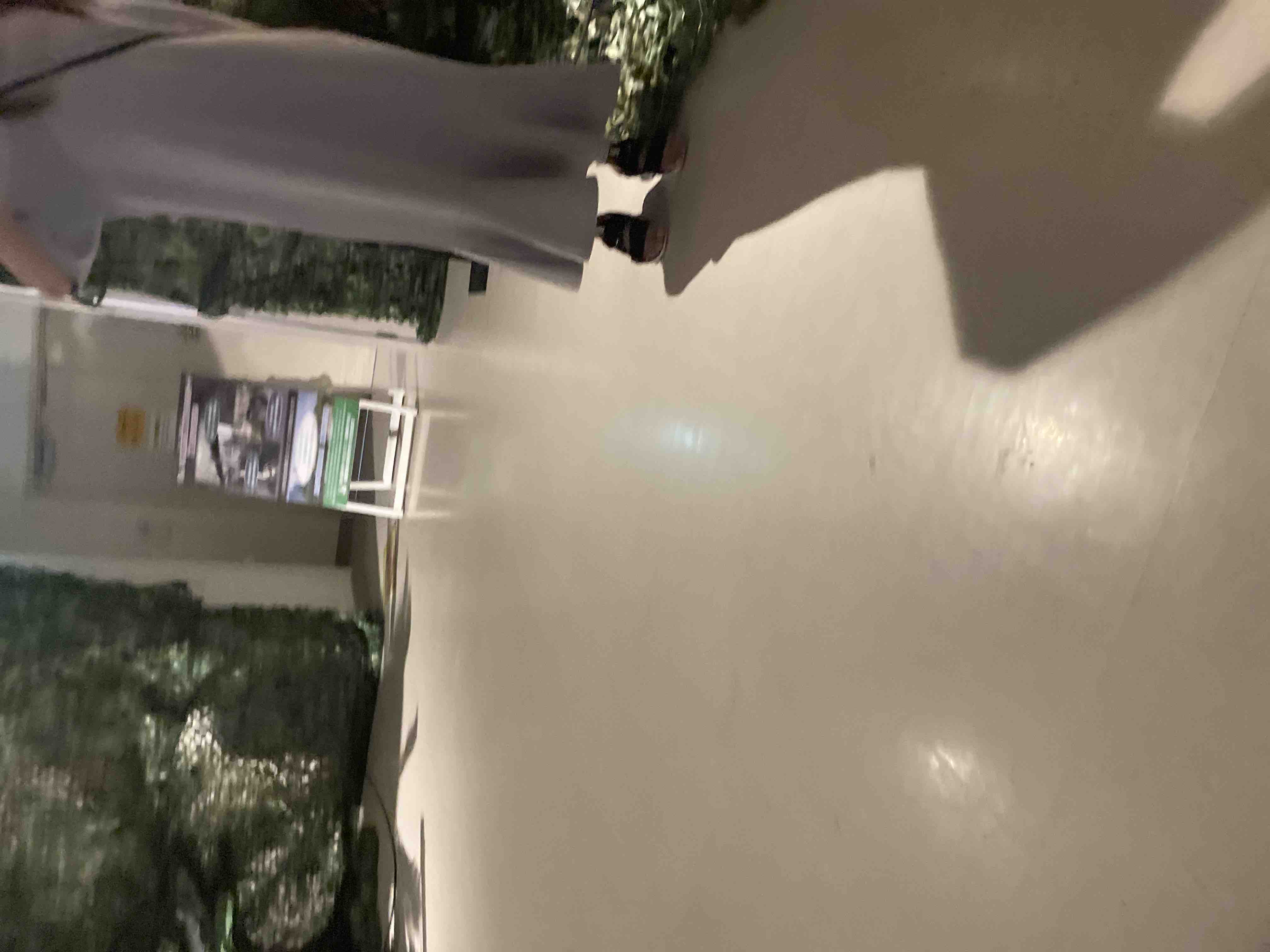 モアナのような女