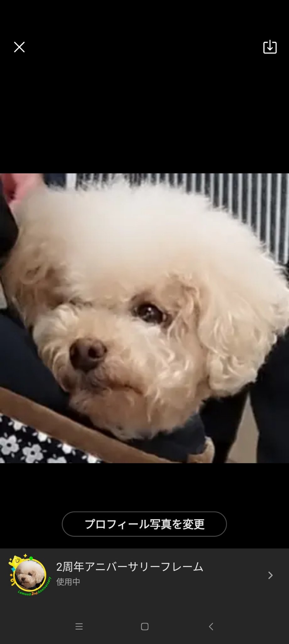 ねこ🐱😺フォロバ100