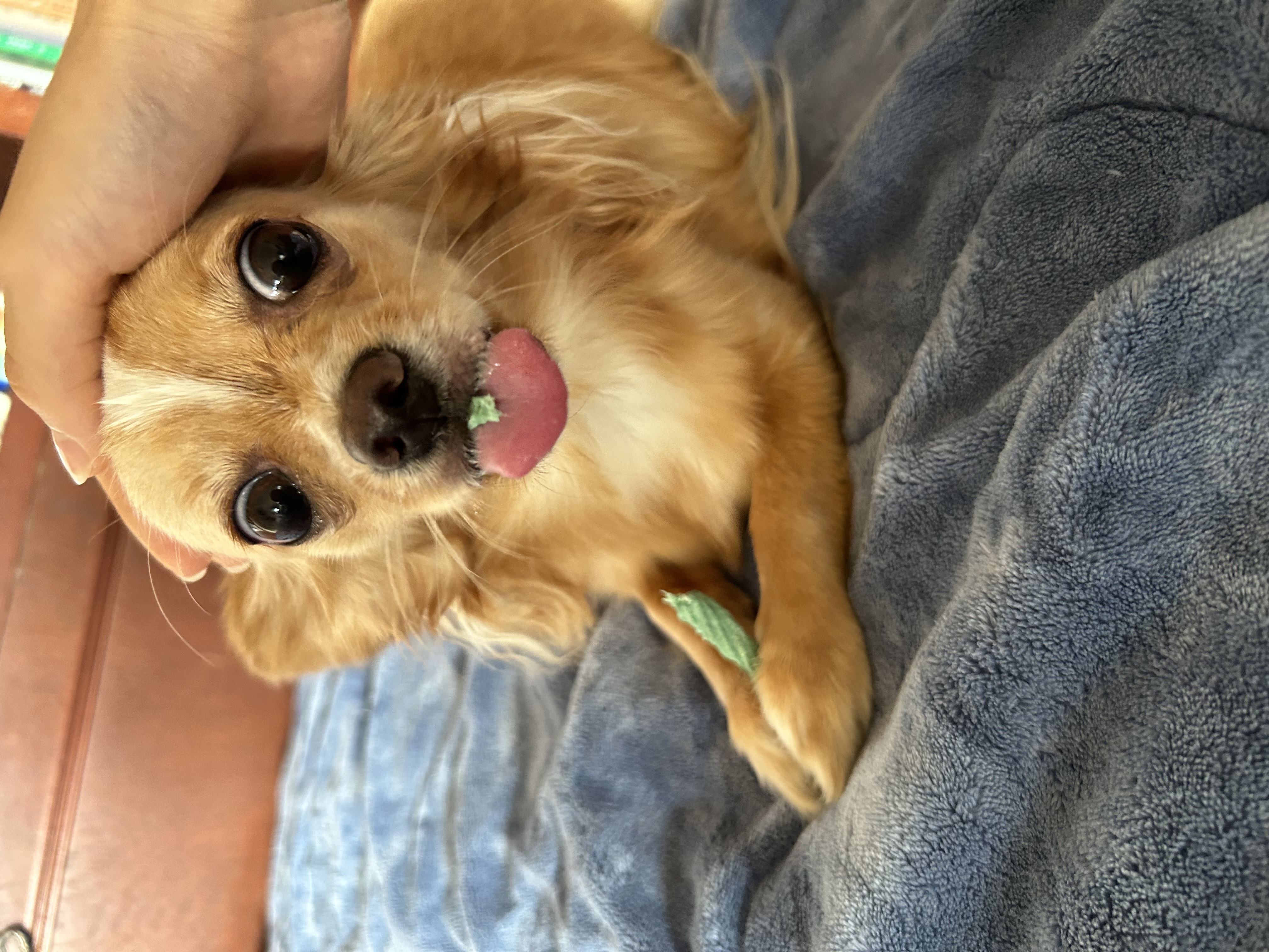 アリちゃん❤︎