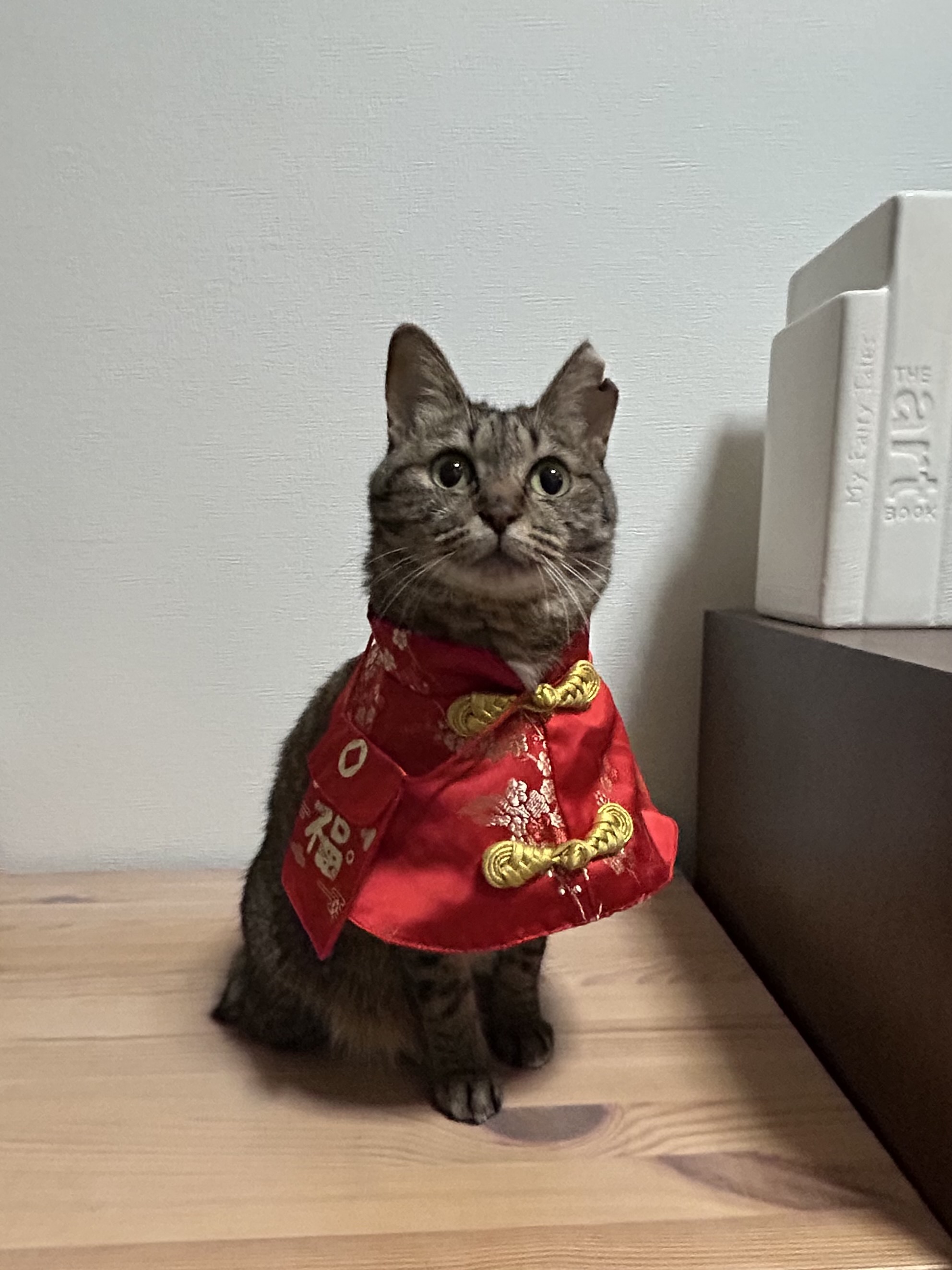 エツコデラックス