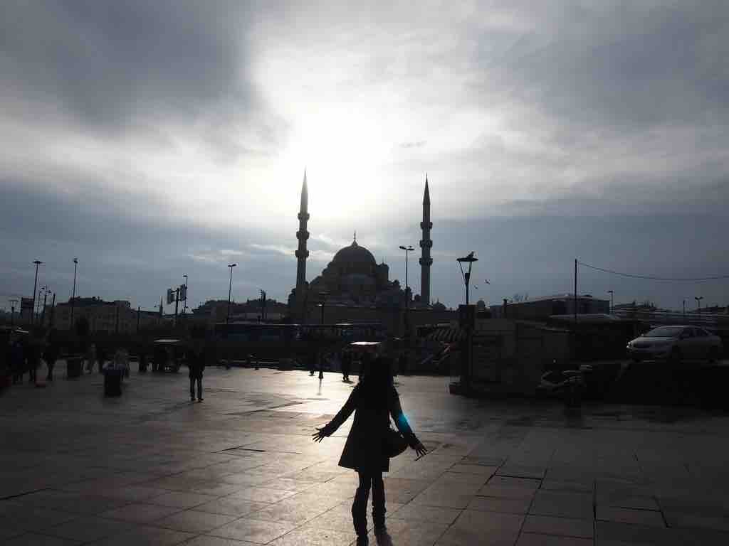 じな_フォロバ100