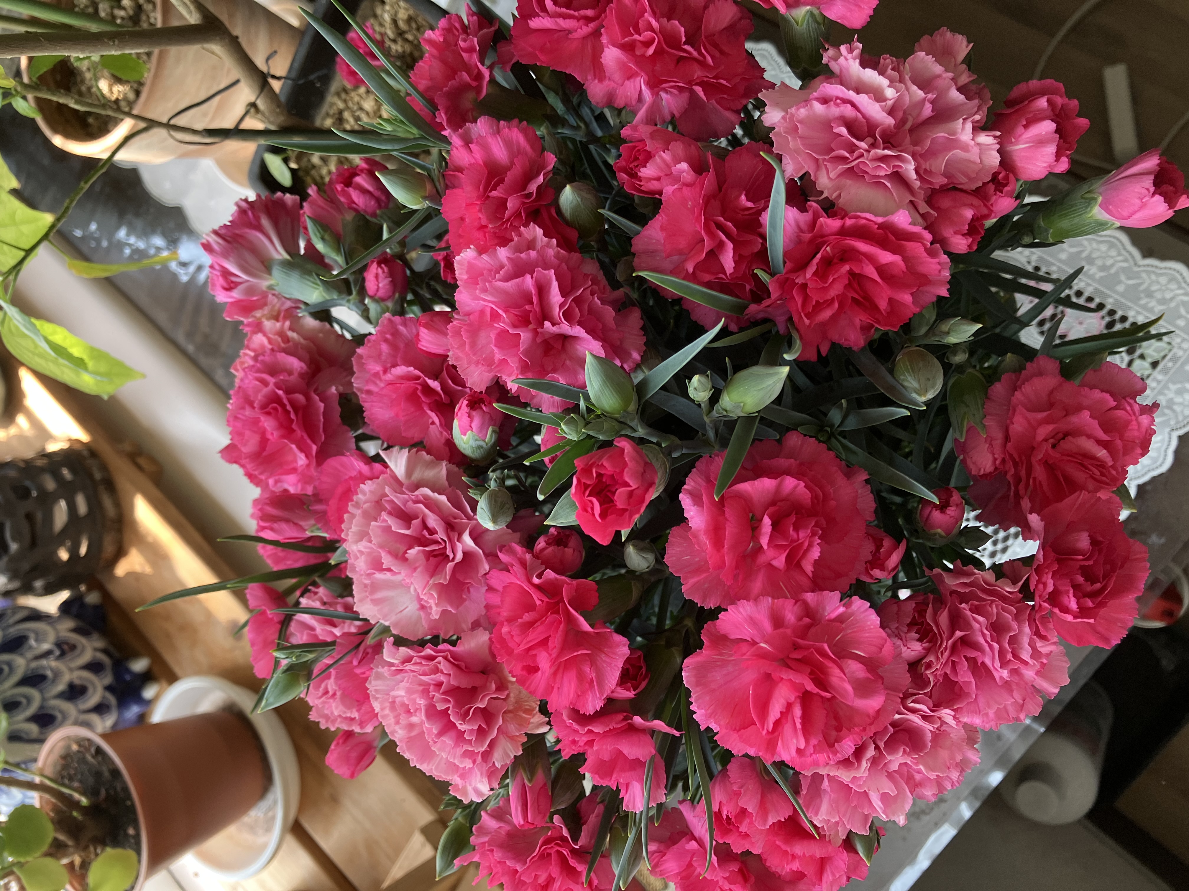 sana💕フォロバ100