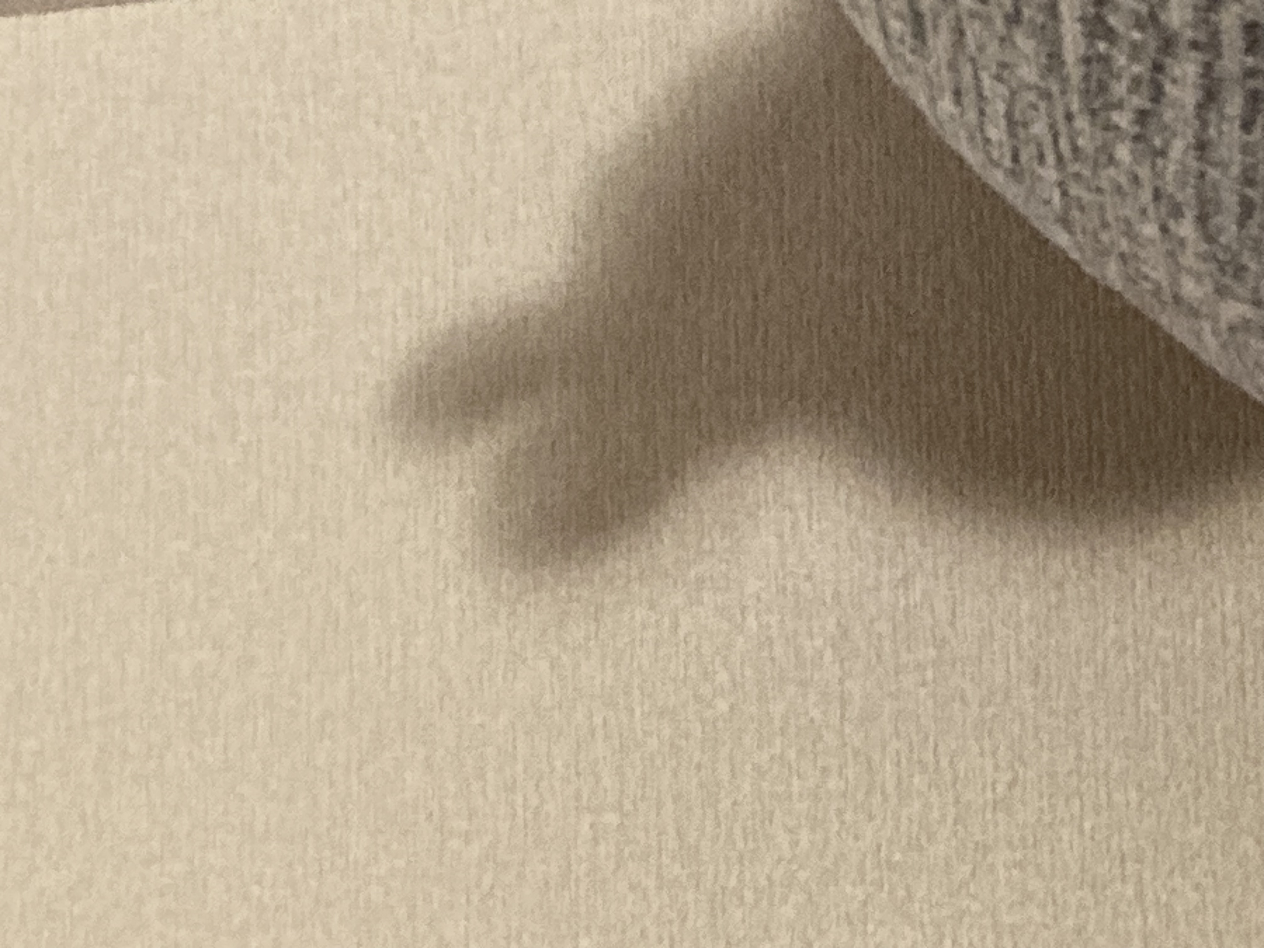 イエベ春🌸とブルベ夏🍉のKPOPオタ