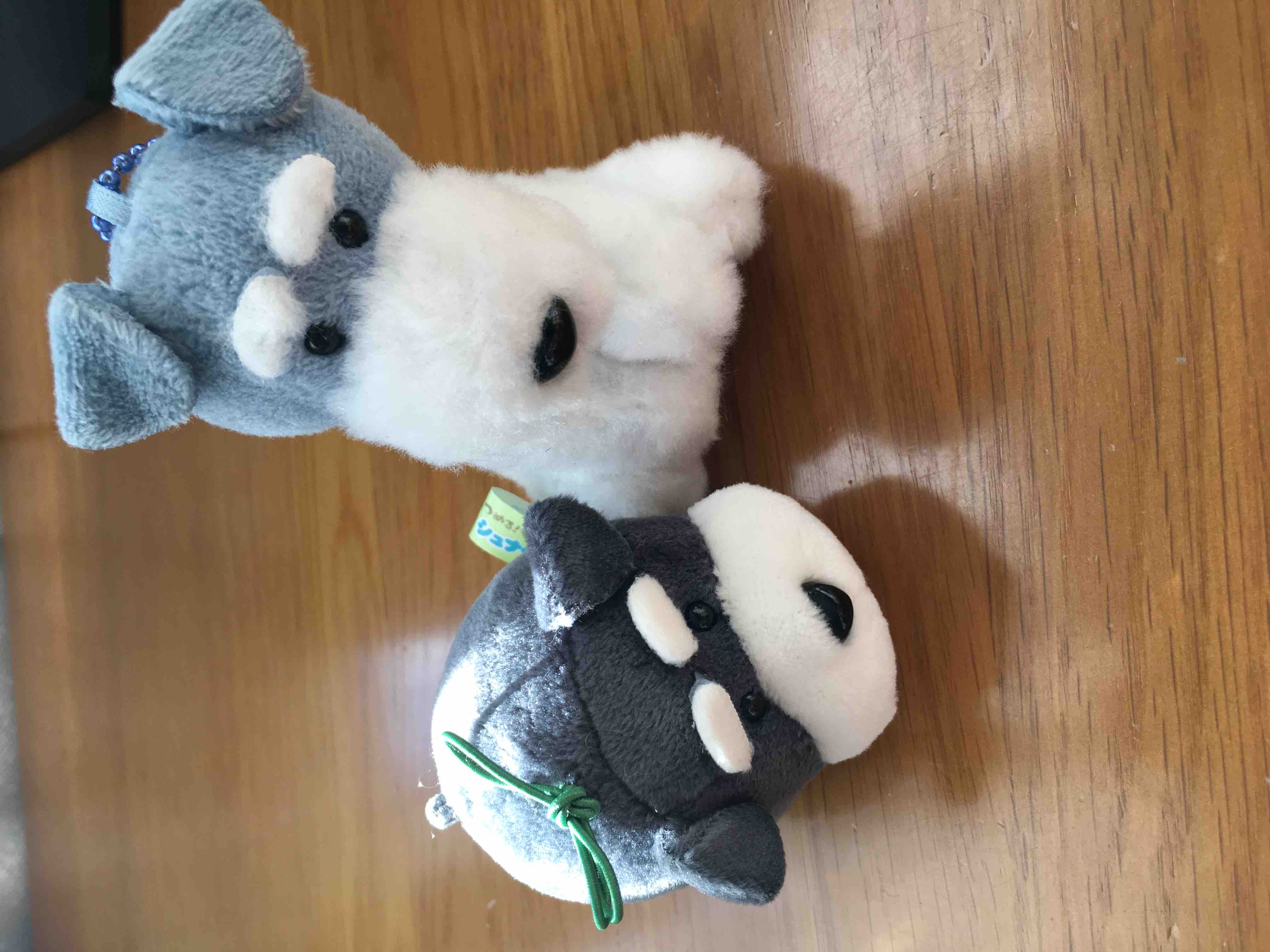 まる。フォロバ100