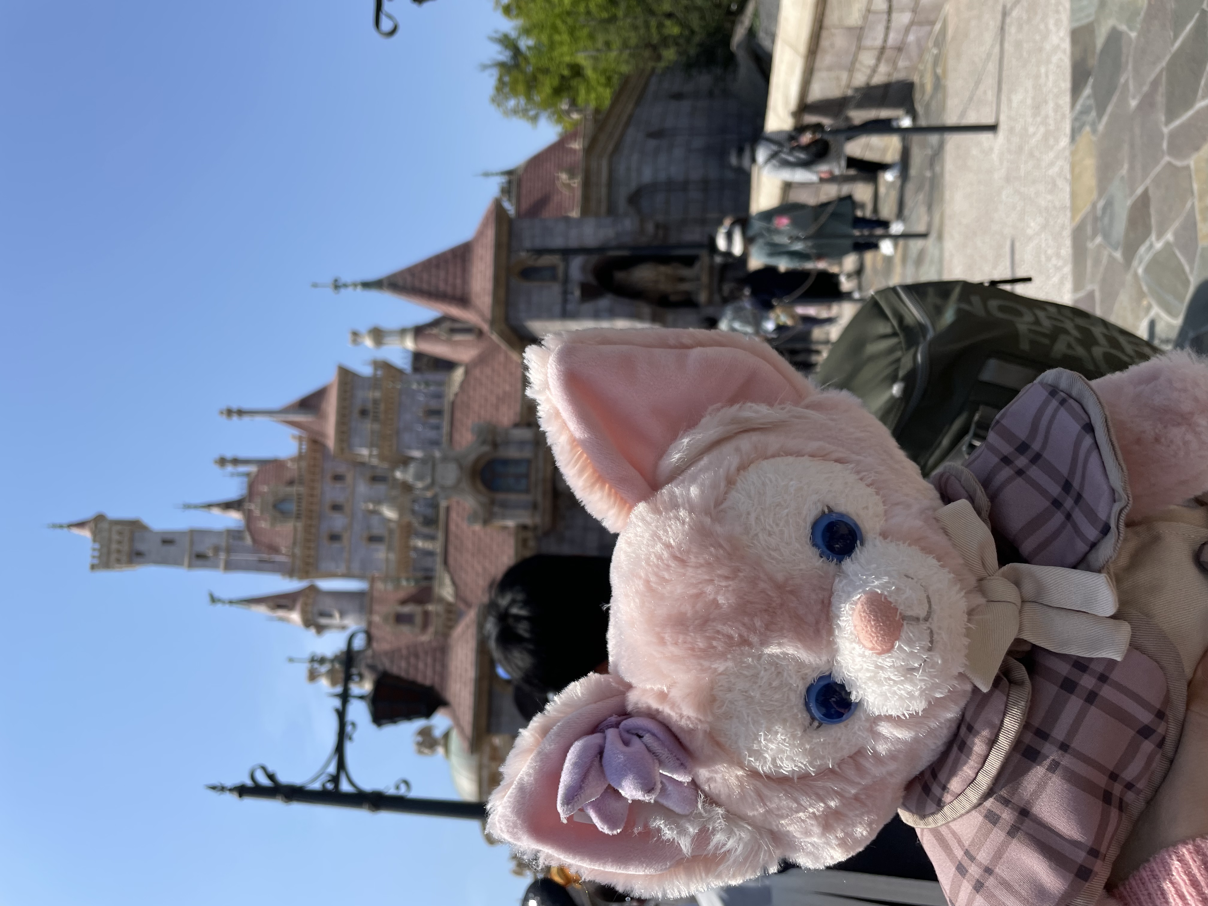 おもち🌸フォロバします