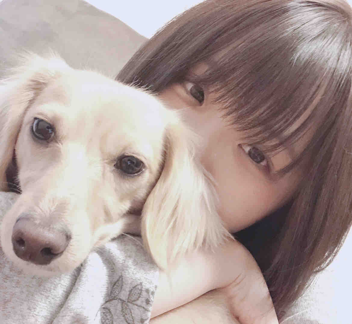 みここ🧸ﾌｫﾛﾊﾞ100%