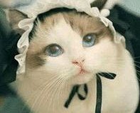 そらまめ@最近低浮上😊