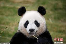 韓国在住あいばお