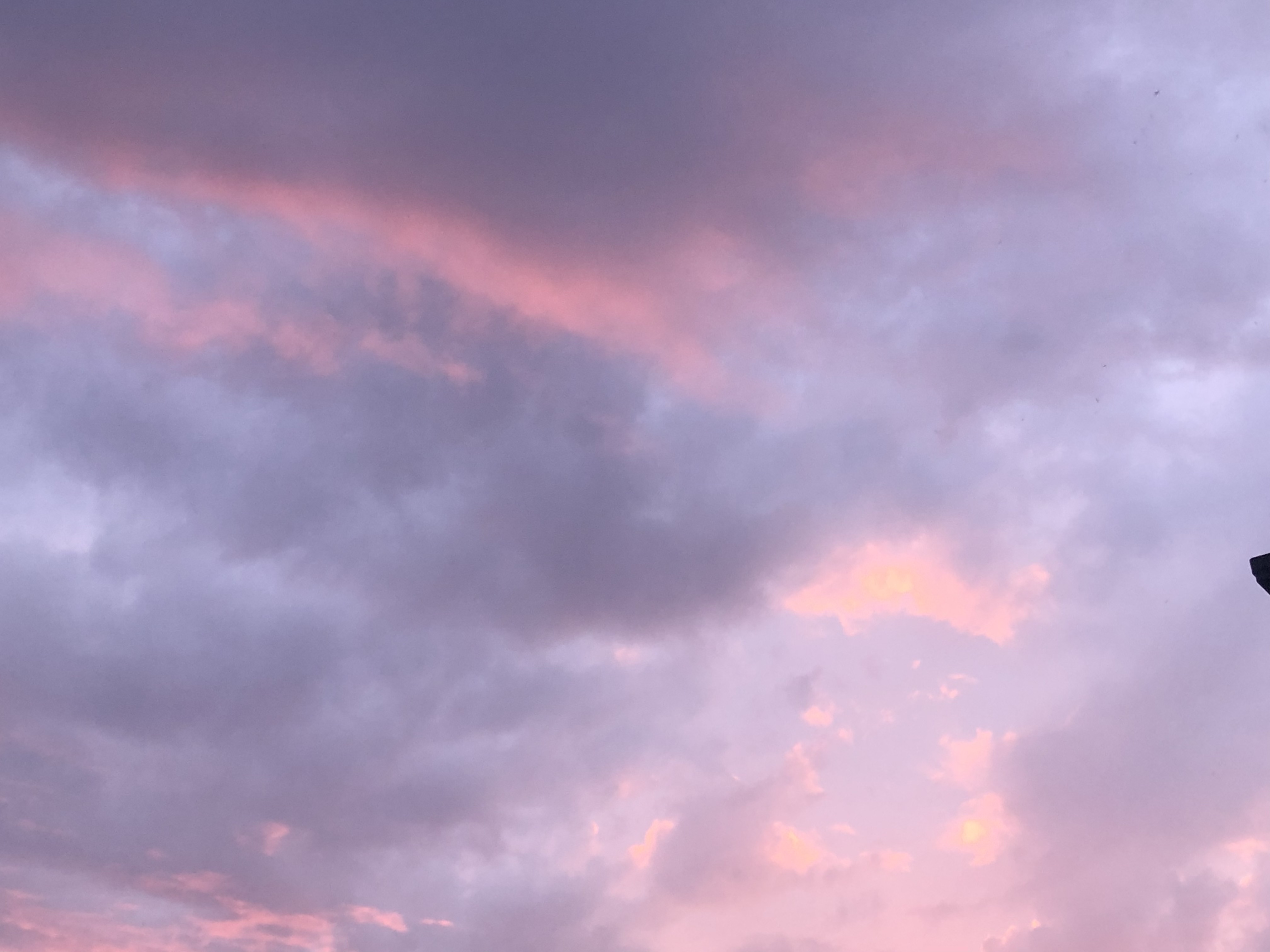 お薬のお姉さん