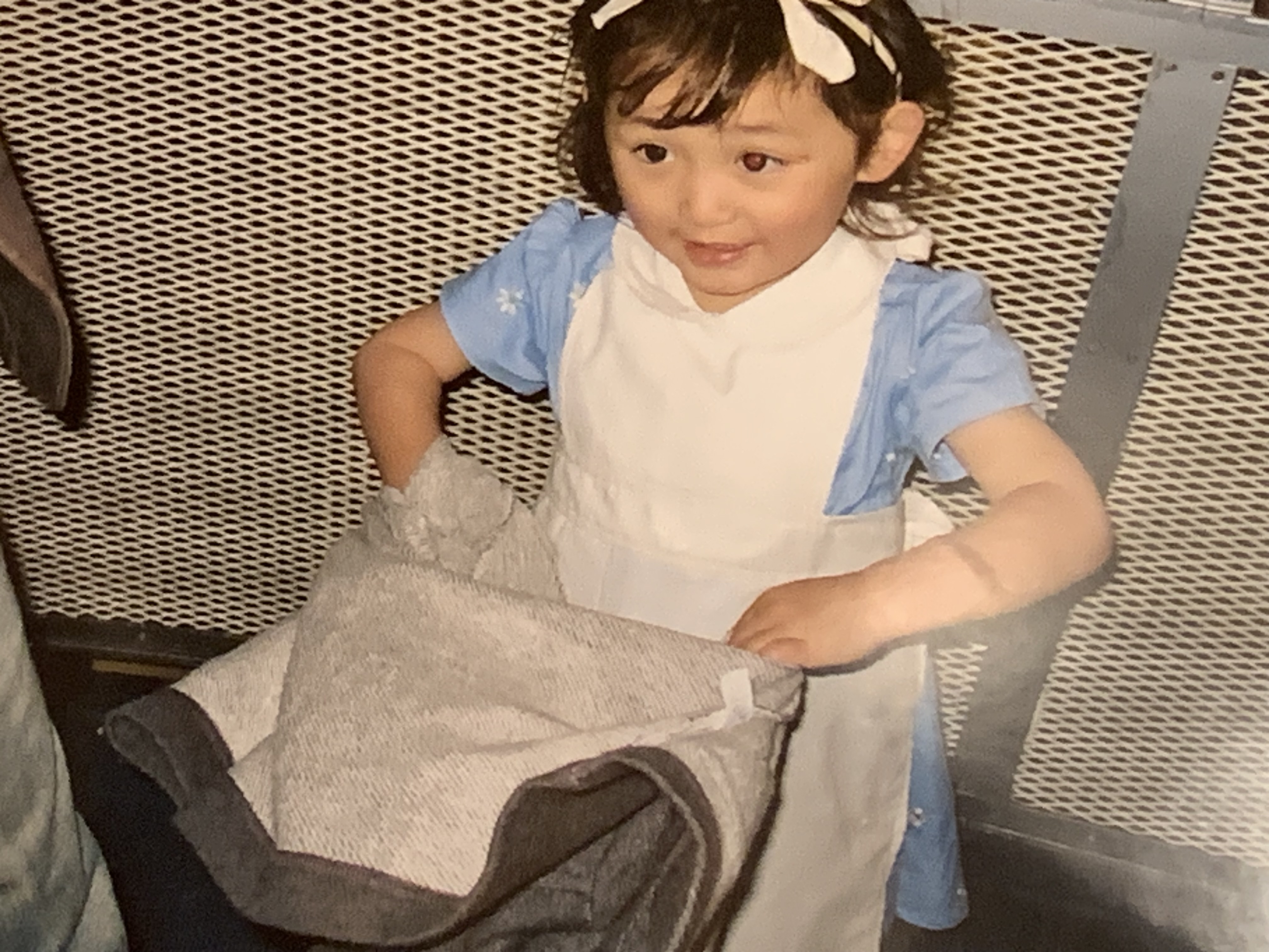 にゃんこむすめ