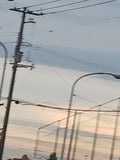 はな