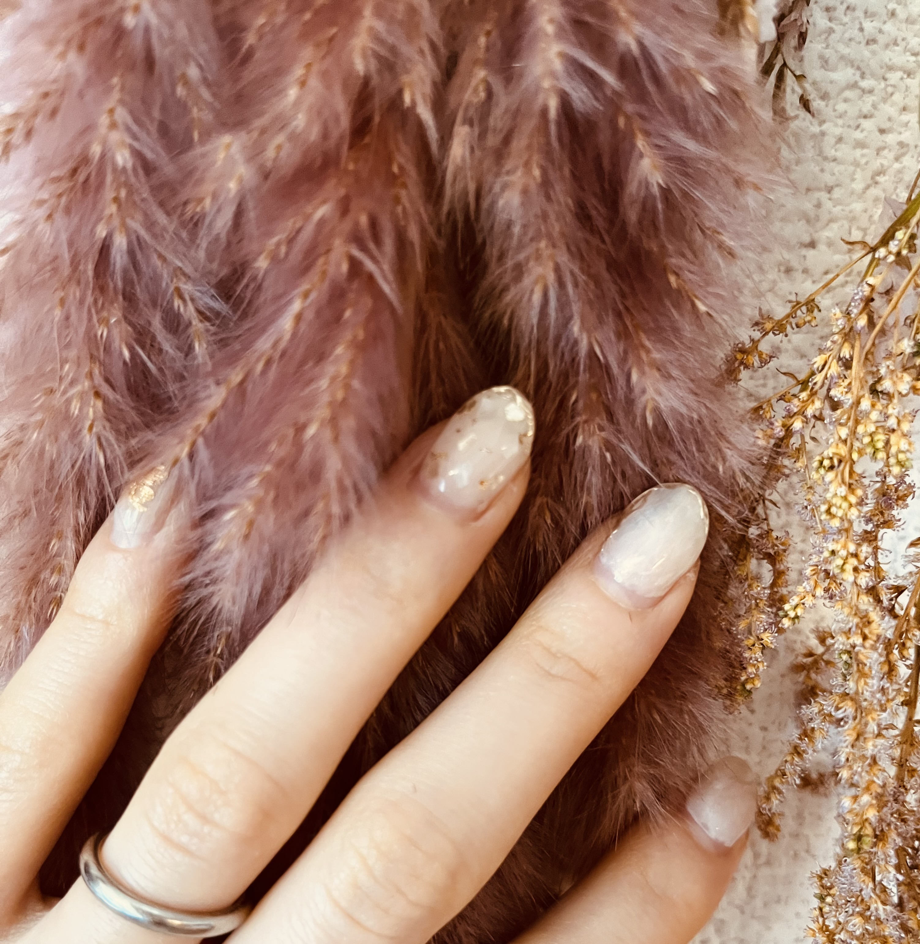 biyoukiloku（フォロバします◎）