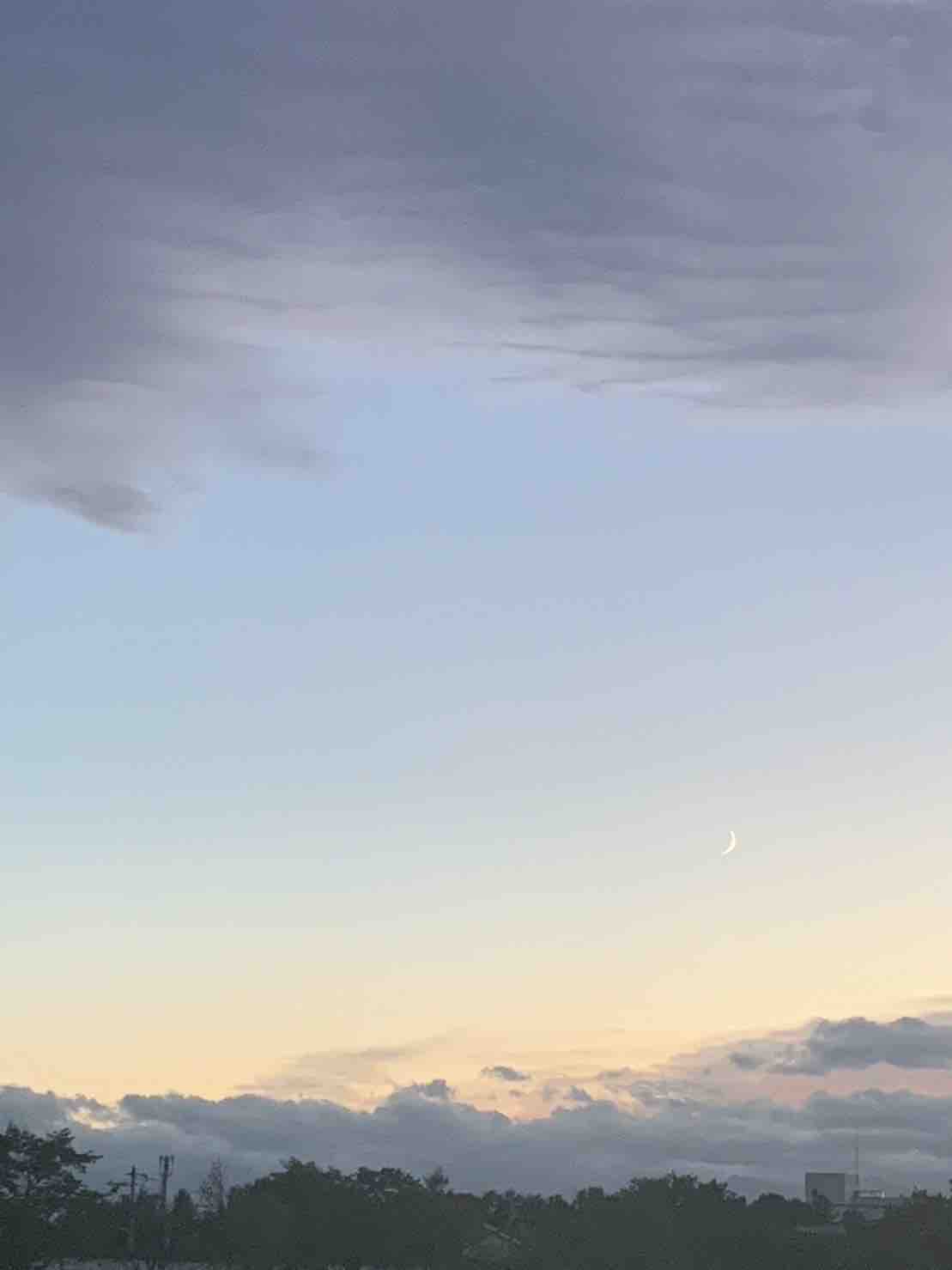 くらげ♡フォロバ100