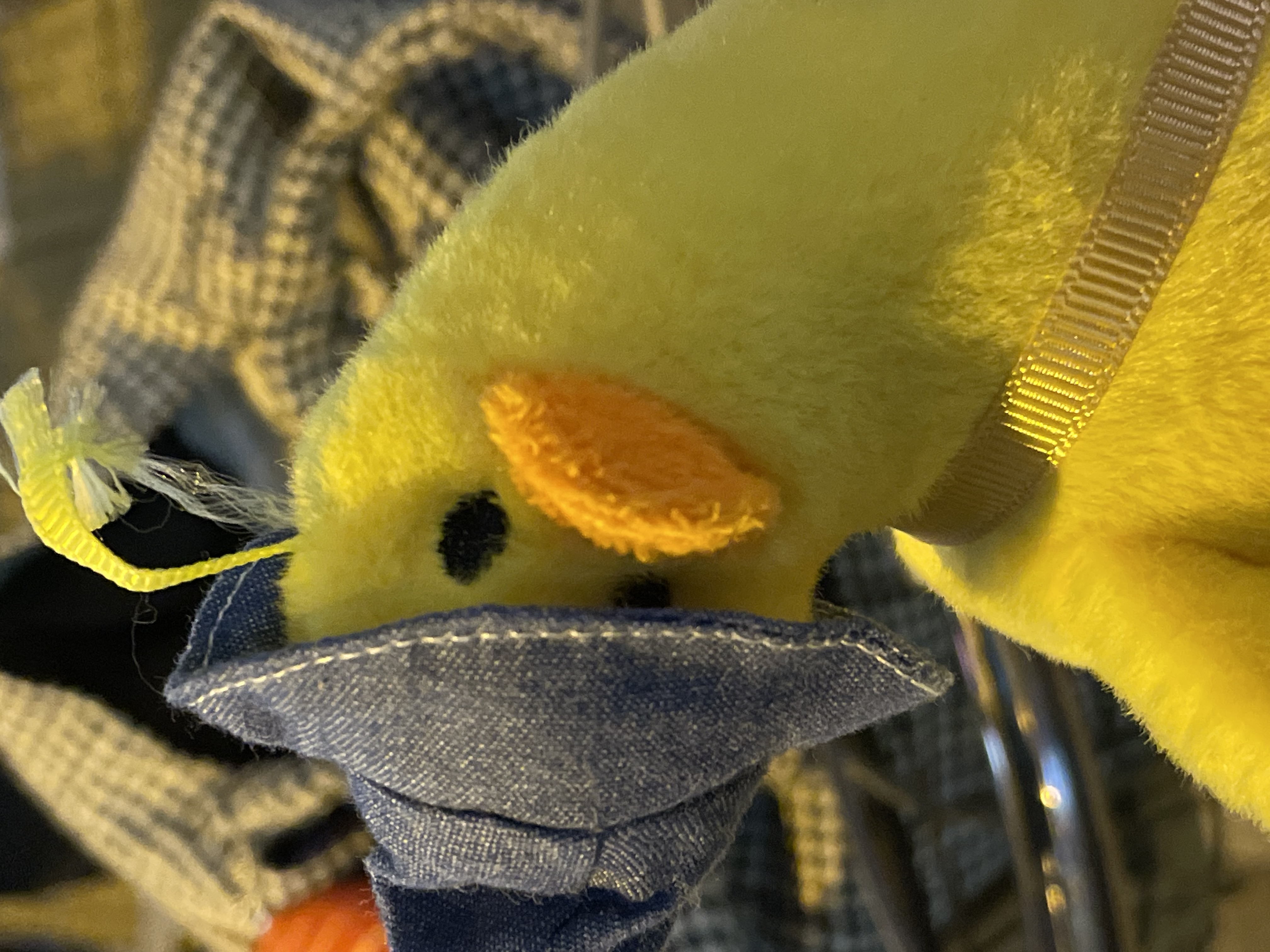 ゅ ぁ ‪𓂃 𓈒𓏸