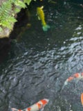 お水が大事