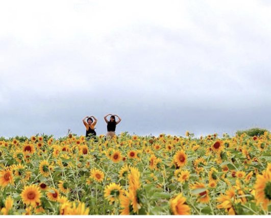 さー🌻フォロバ👌🏻