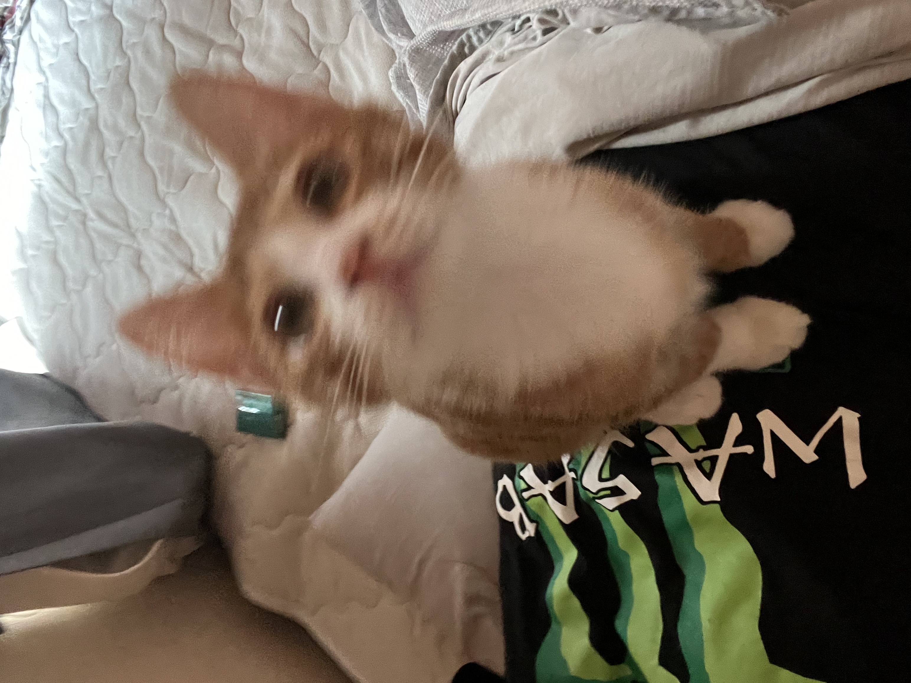 のむヨーグルト