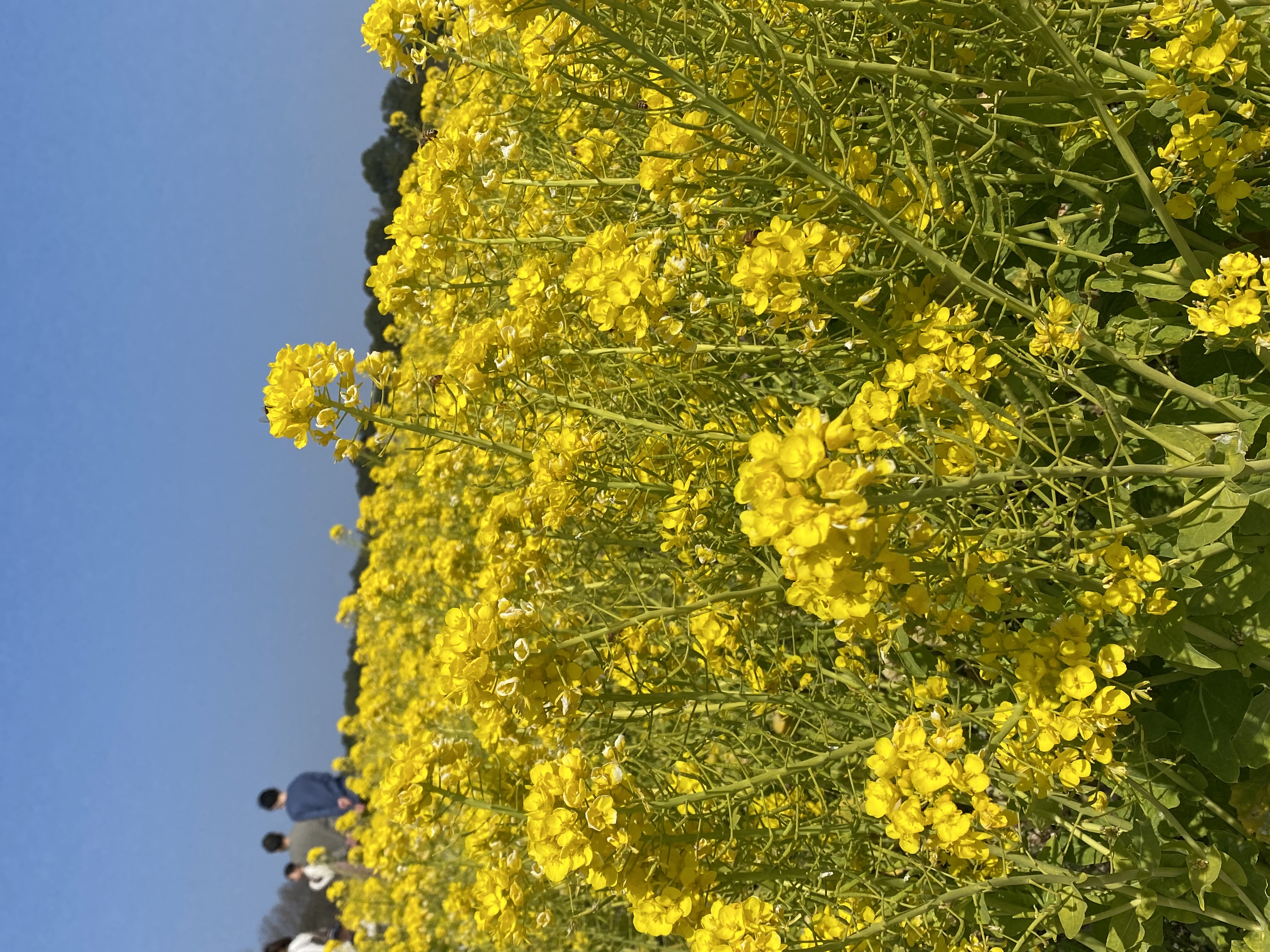 さやか🐰🌙フォロー強化中