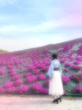 さやぼう