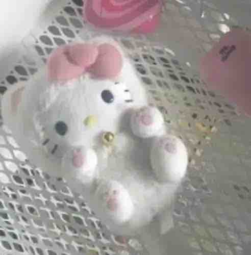 くは・きてぃ🐱🎀