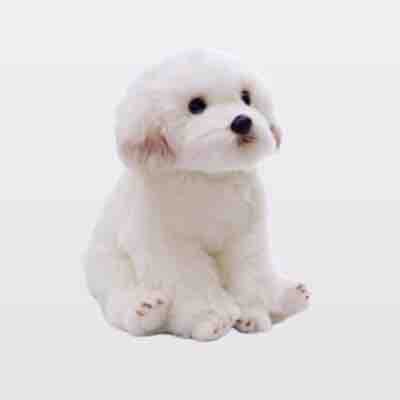 ▫️ 𝘮𝘶𝘶 ▫️ 