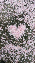 よんよん