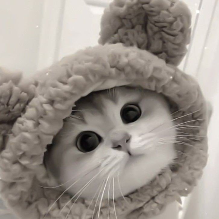 𝔸𝕪𝕒𝕜𝕒 ྀི