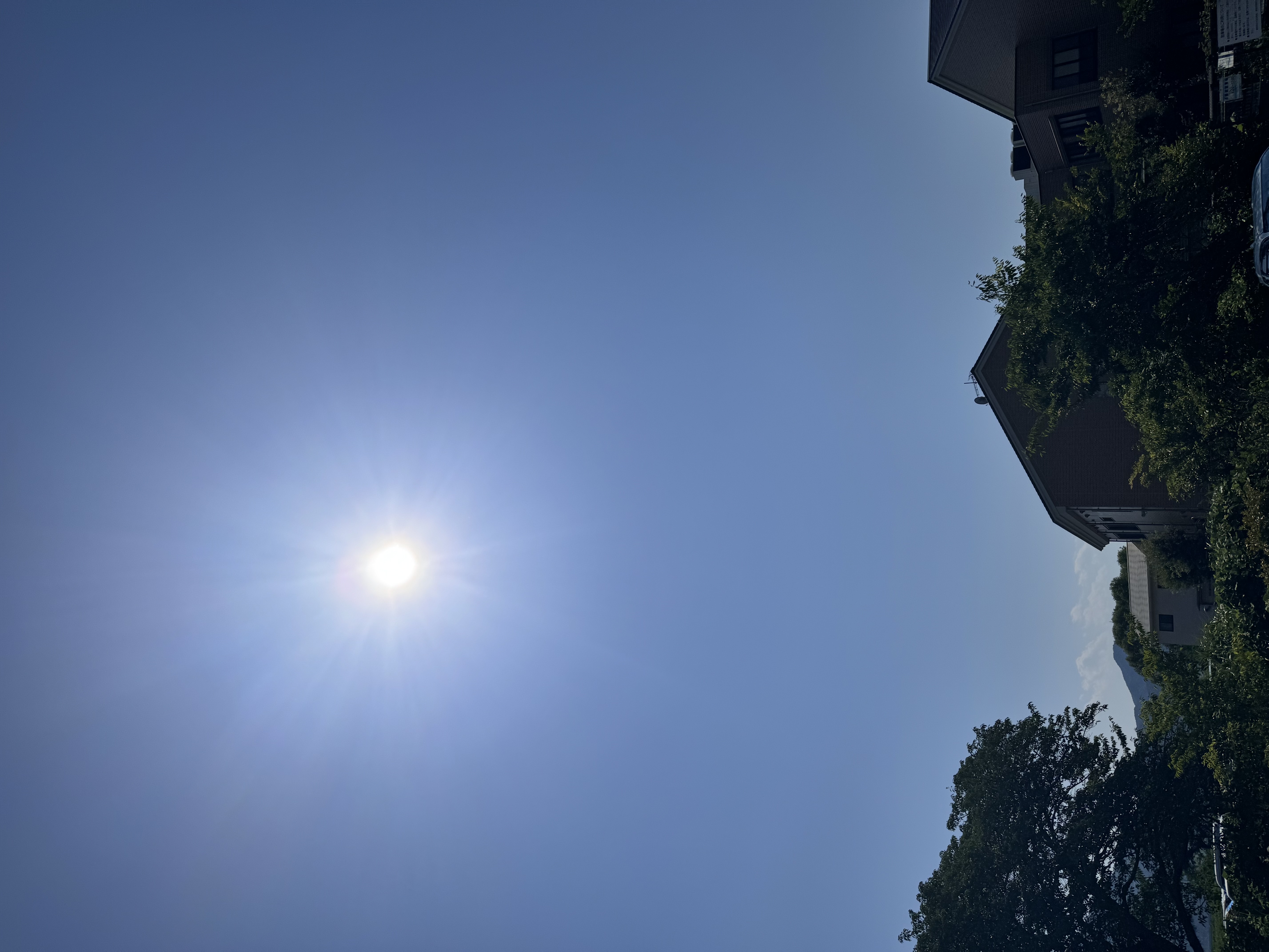 ﾄｳｼﾂちゃん