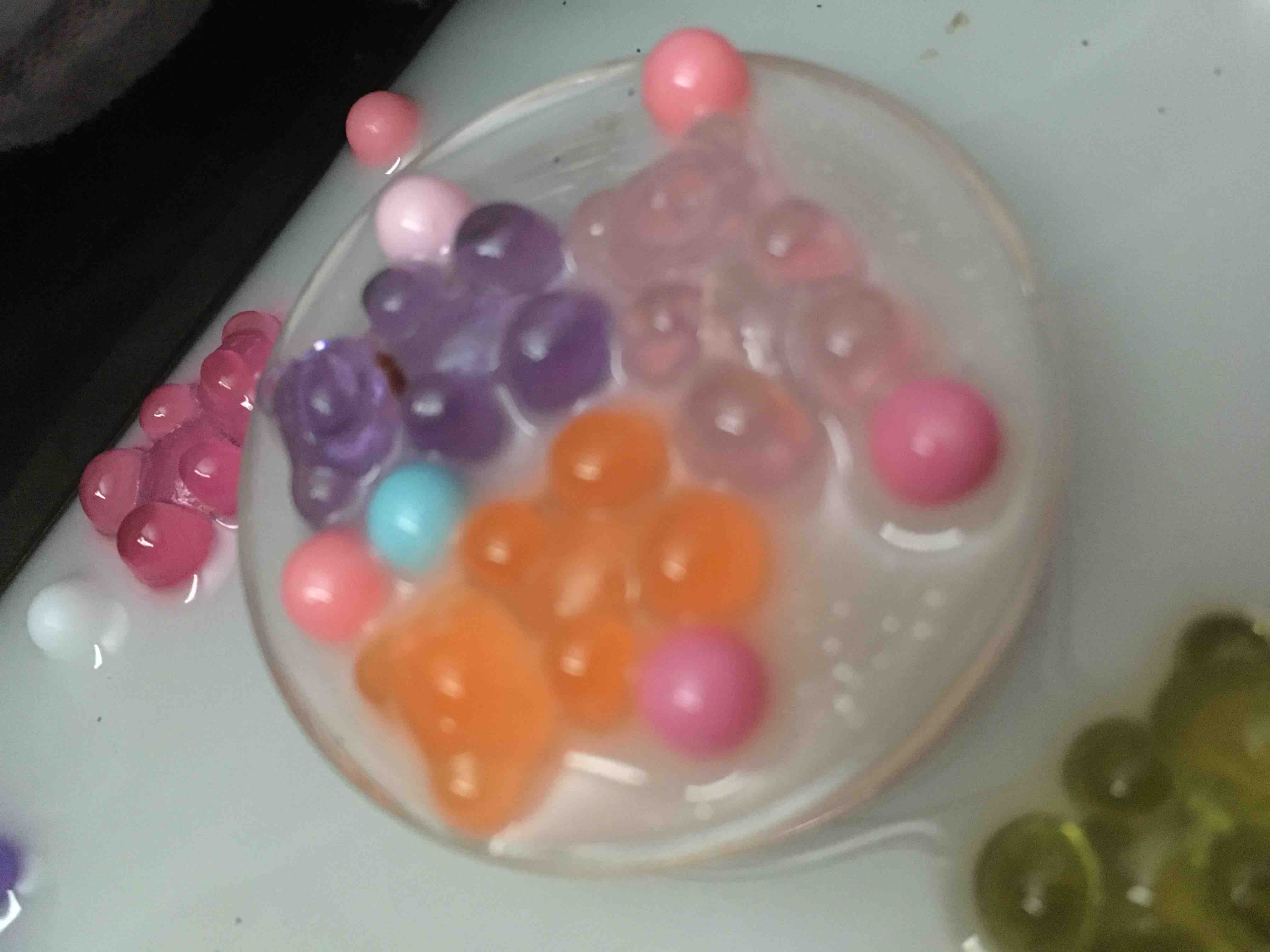 あみあみんちょーっ