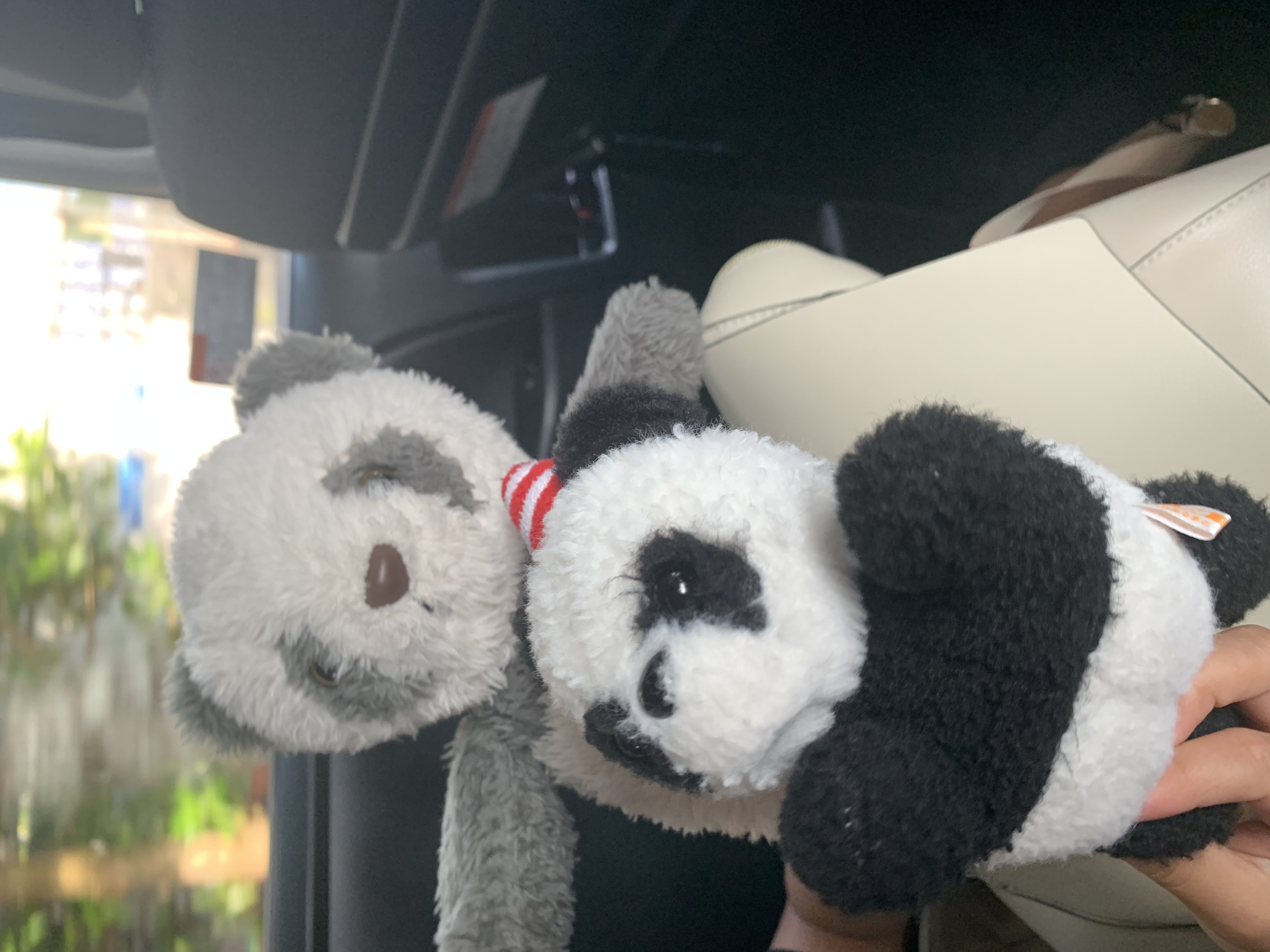 ✐☡ ⋆*ぺんちゃん