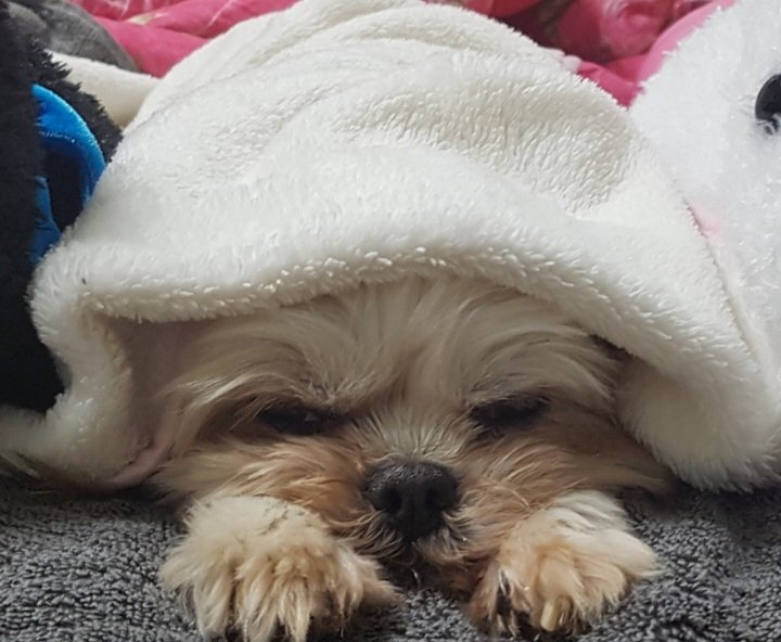 ゆじゃ♡30代ママ