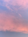 しのん
