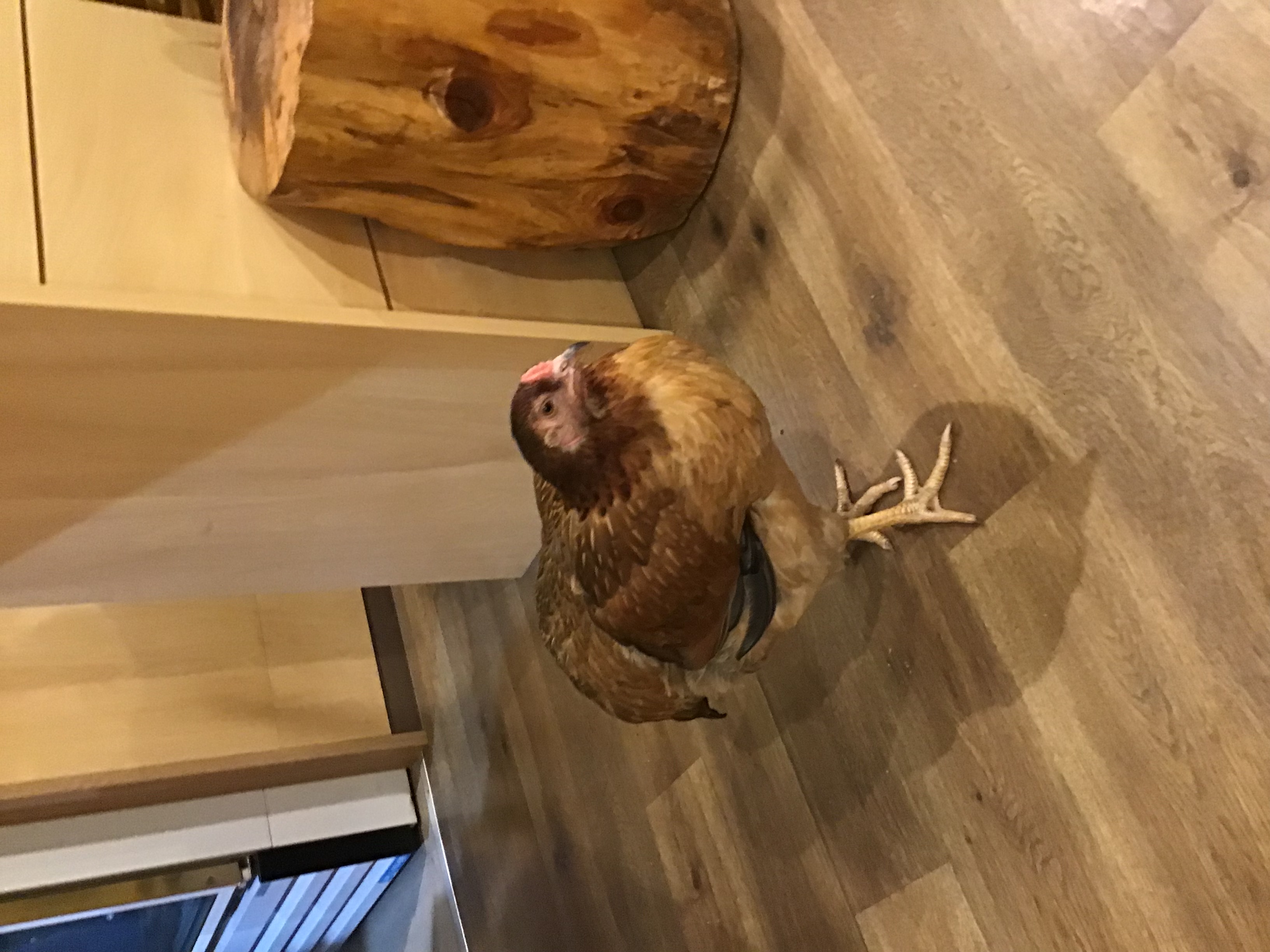 コスメ好き現役小学生