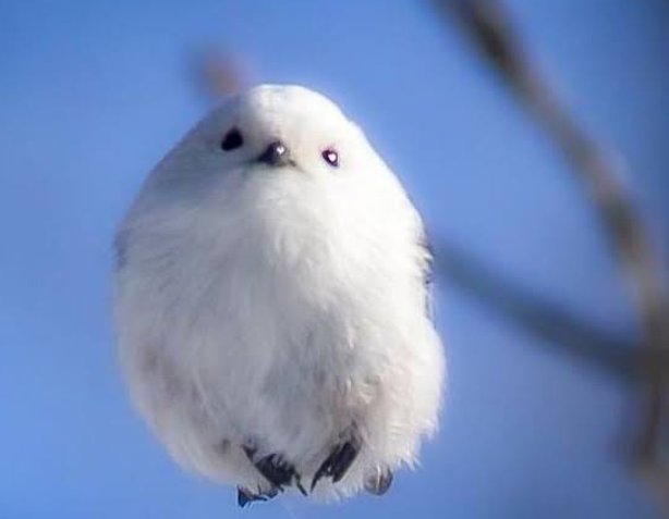 ♡〜𝙼𝙸𝚈𝚄〜♡