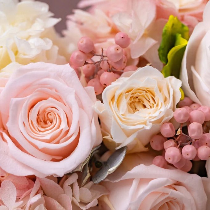 もふ💄 フォロバ強化中