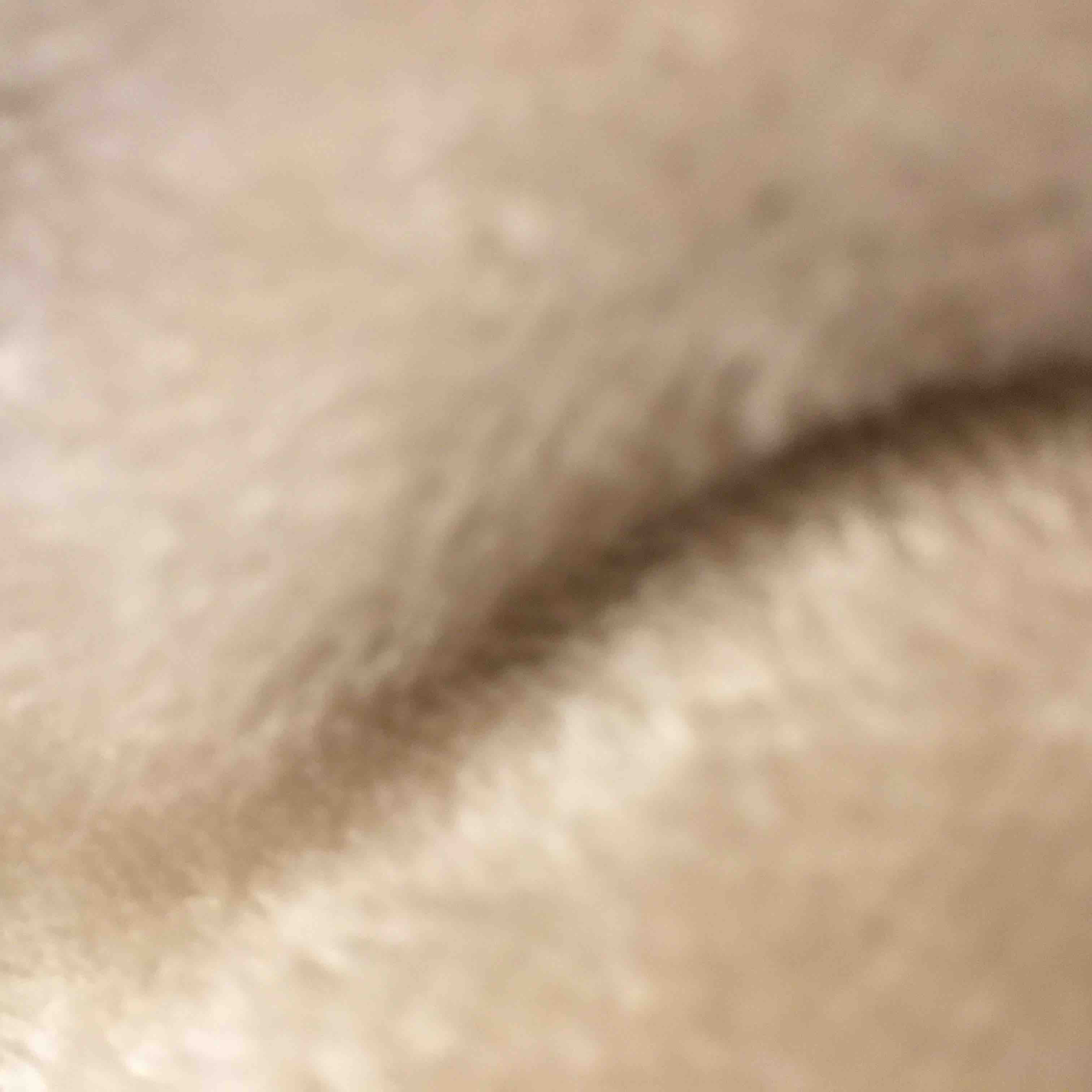 ちぃちゃん☘️