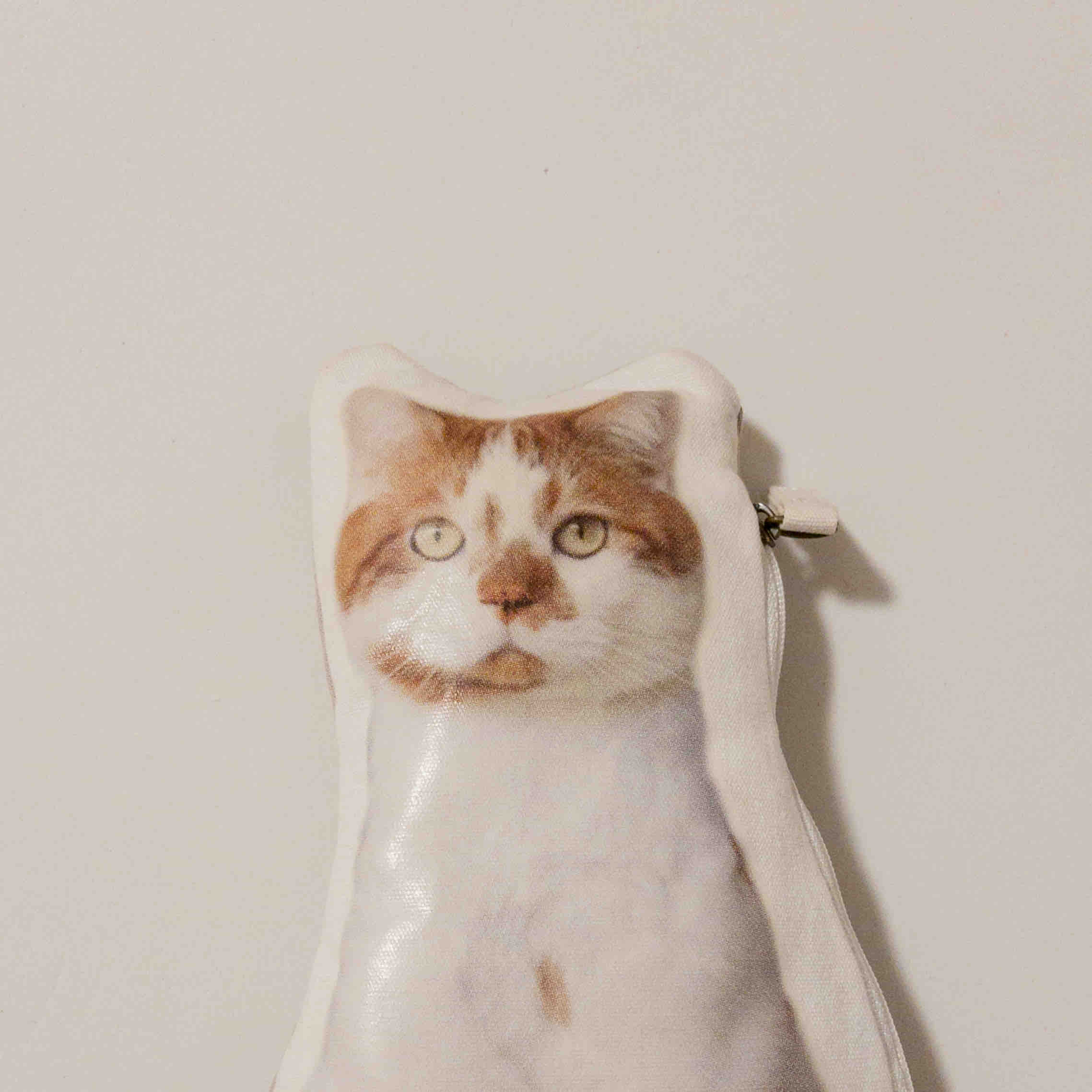 ちゃねこ🐈🌿フォロバ100💛