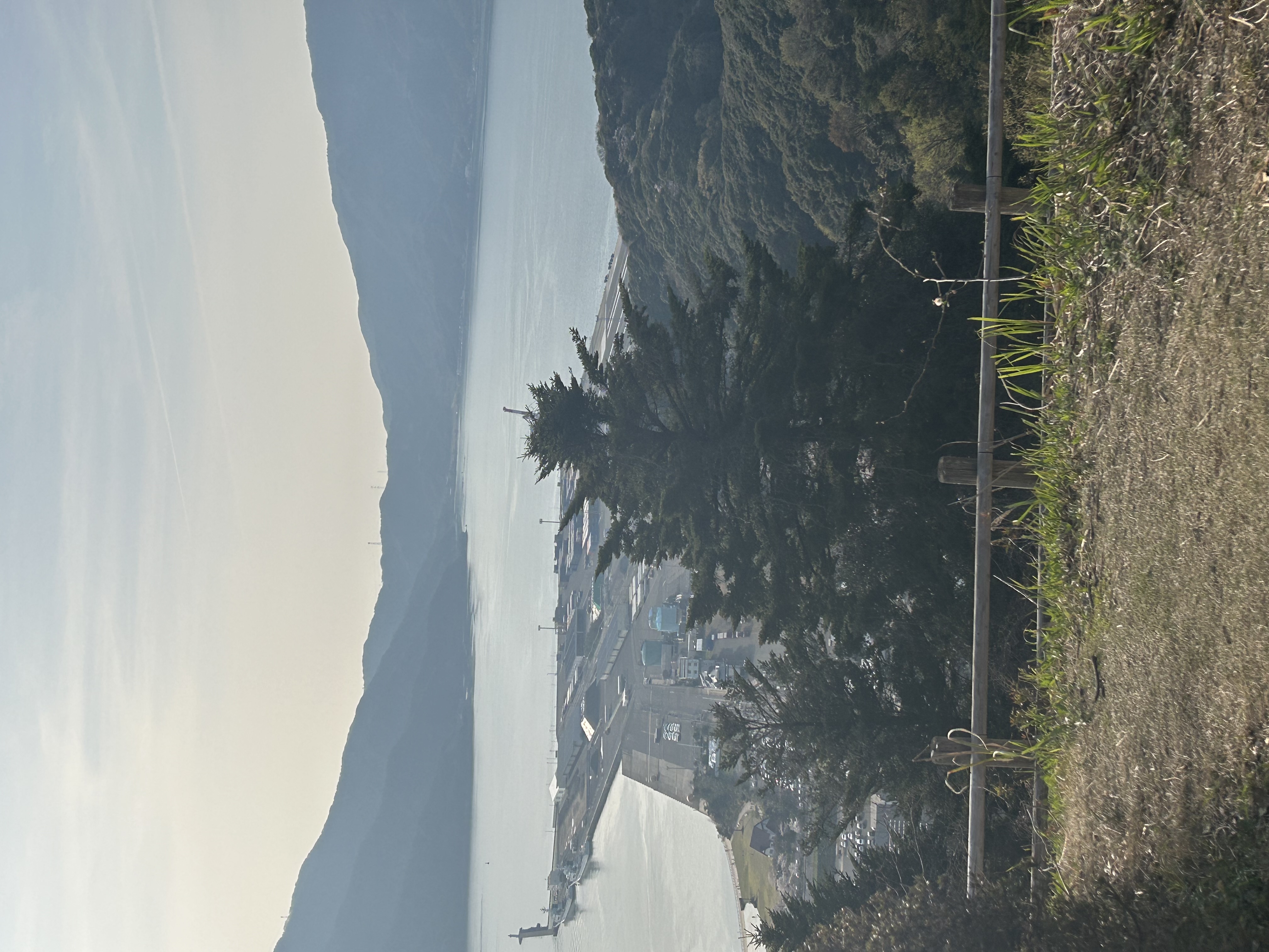 とうりすがりのY