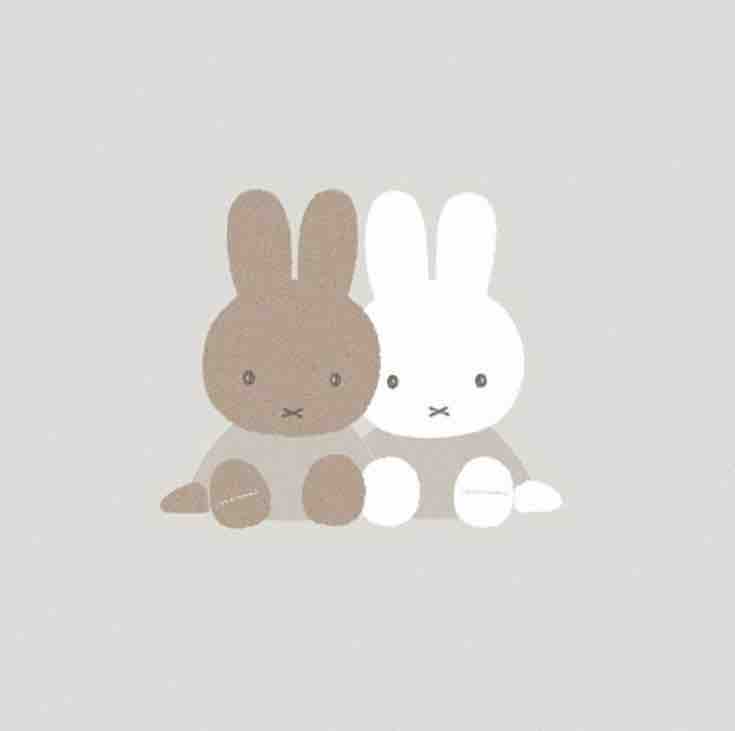 ちょこたん🍫✨