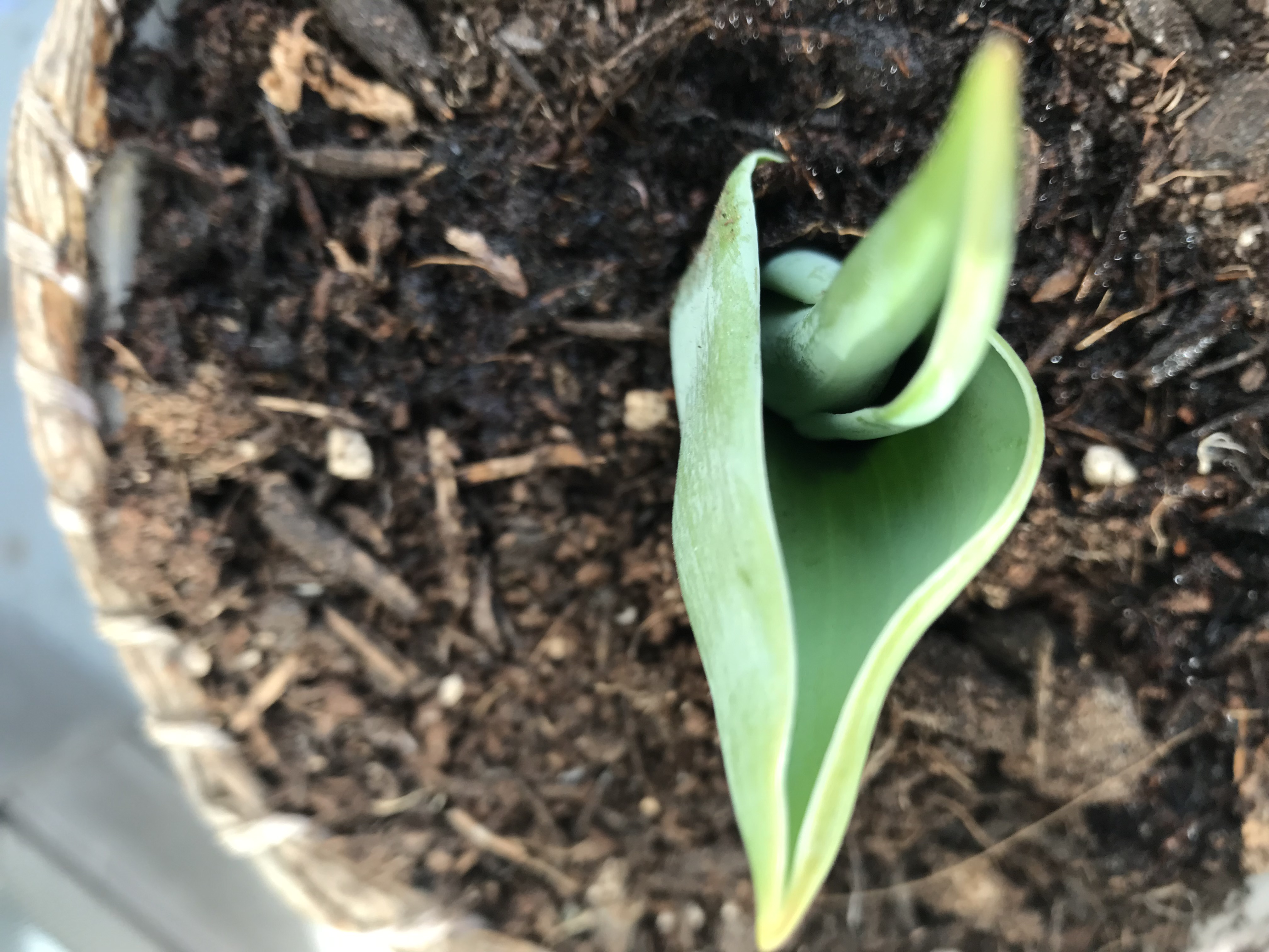 テキトーにやった笑笑笑笑笑笑笑笑笑笑