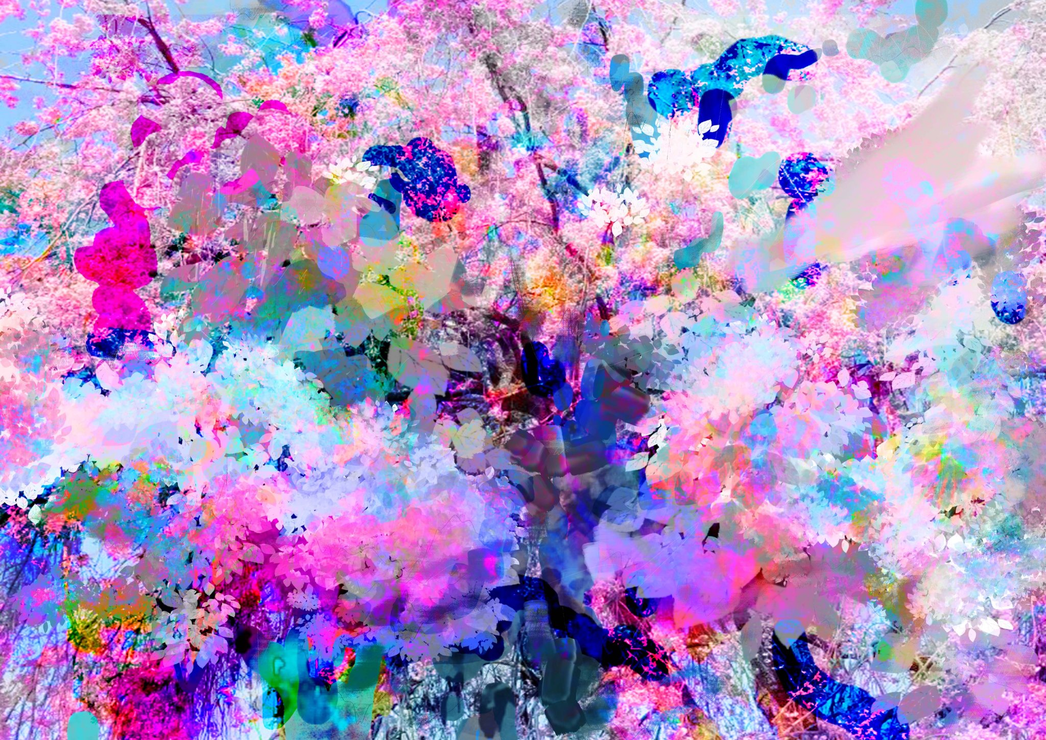 ぎいも.フォロバ