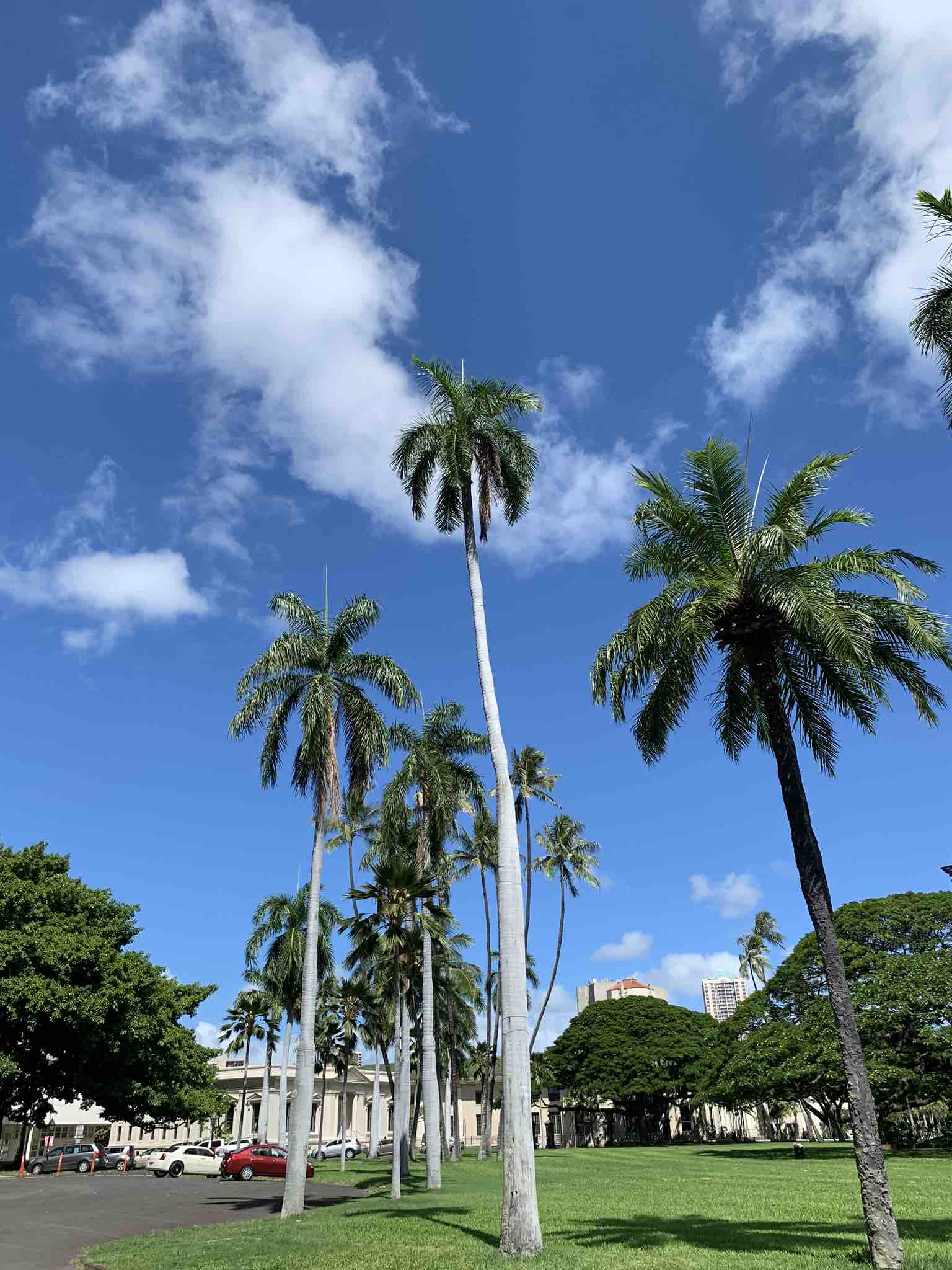 ＊コスメオタOL＊