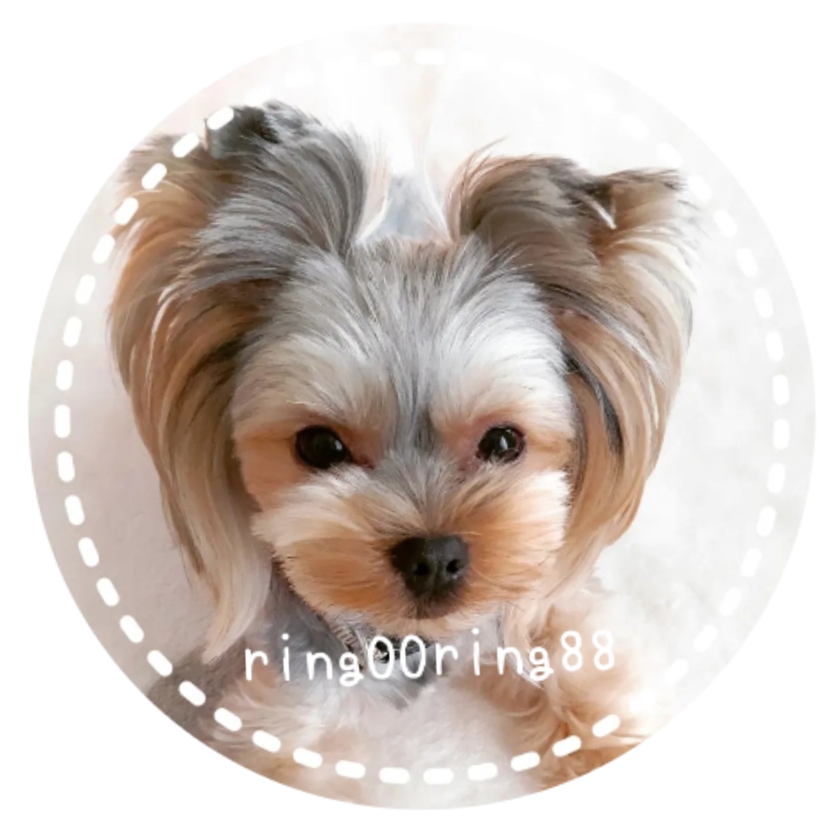 🍏 ͗ ͗ꔛ🍎りんご🍎ꔛ ͗ ͗🍏フォロバ100