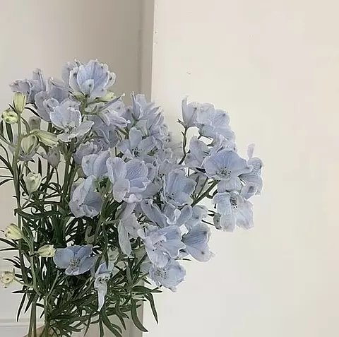 がちゃんlove(っ'-')=͟͟͞͞🩵