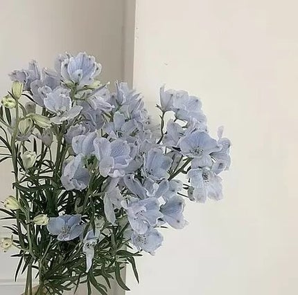 がちゃんlove(っ'-')=͟͟͞͞🩵