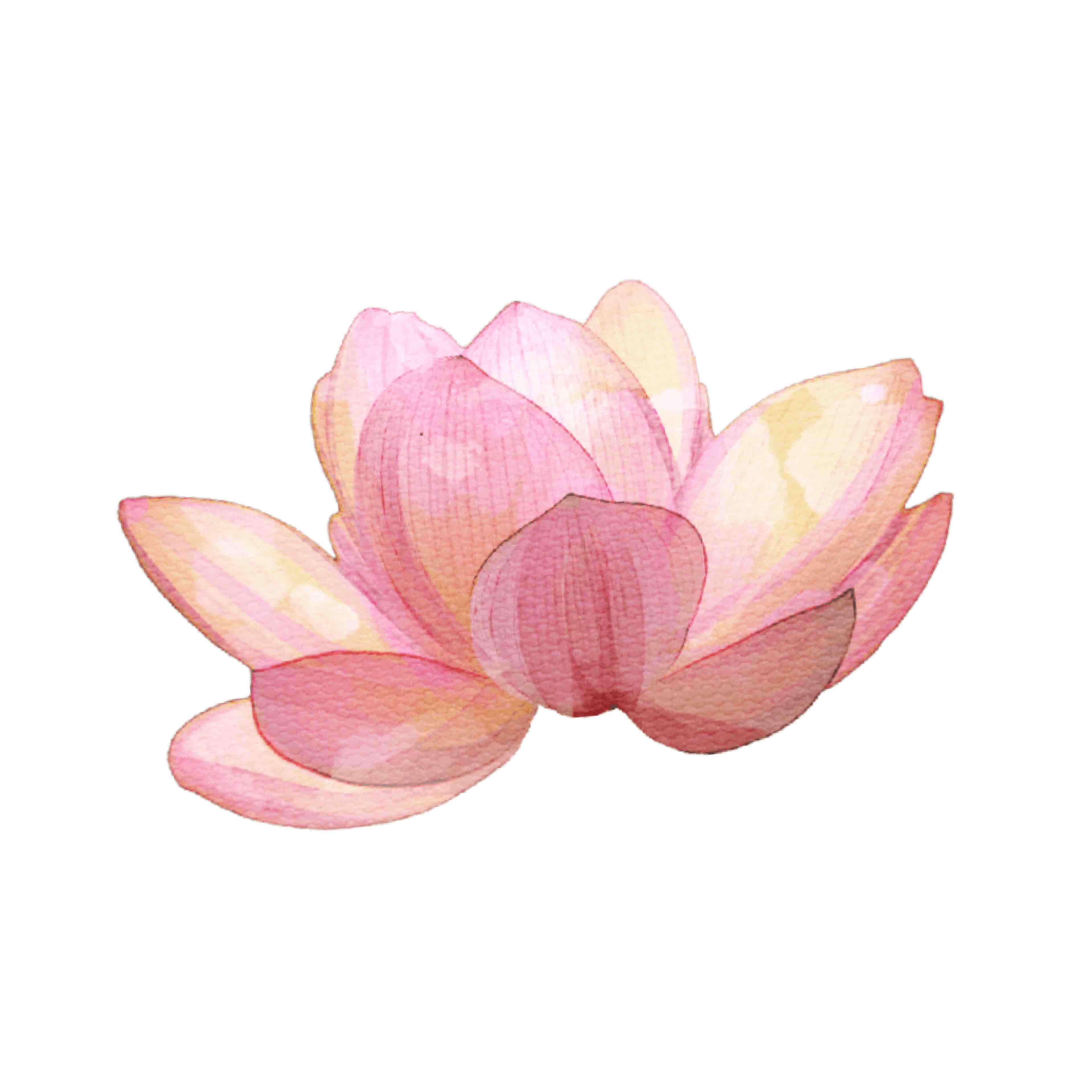 まとい🔥フォロバ