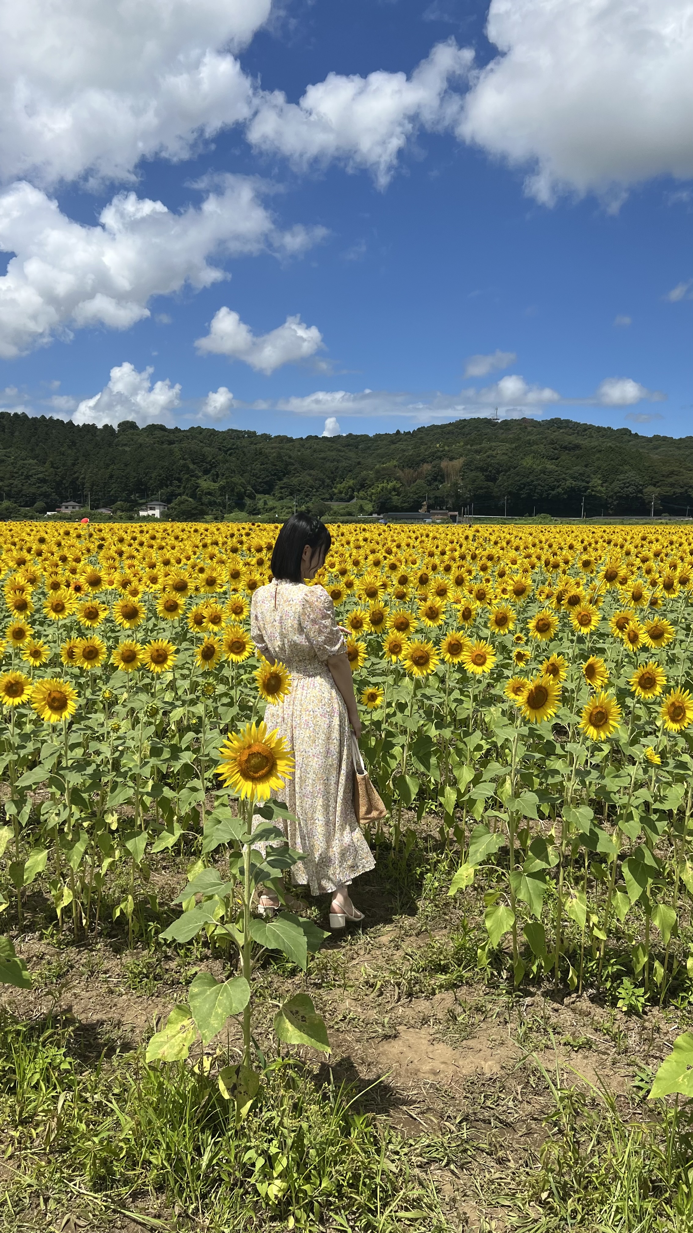 ☁️moku☁️フォロバ